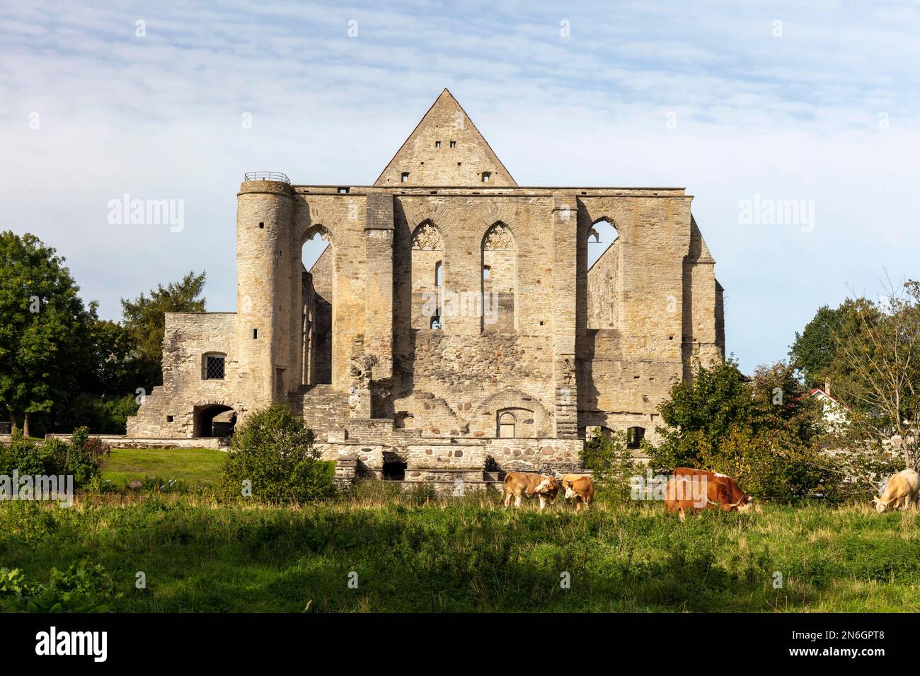 Pirita Monastery Ruins, Pirita kloostri varemed, Tallinn, Estonia Stock Photo