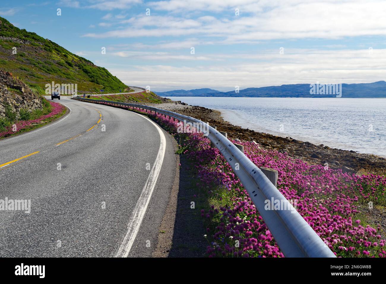 Winding road leading along the sea, Arctic Ocean, Summer, Varanger Peninsula, Artkis, Finnmark, Norway Stock Photo