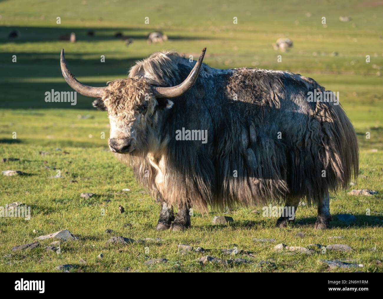 Sumy jinsiy aloqa sayti