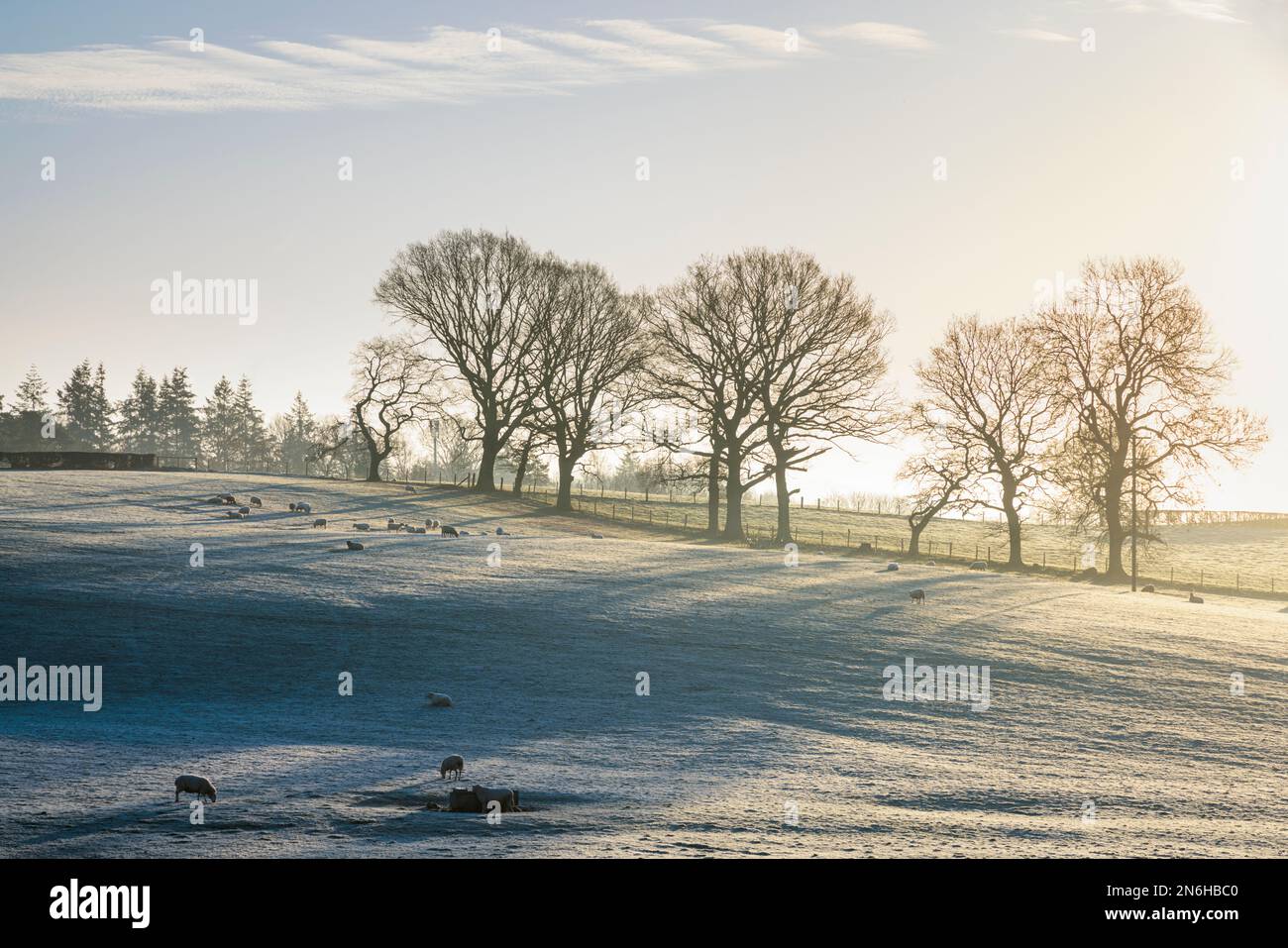 Sunrise over farm field hi-res stock photography and images - Alamy