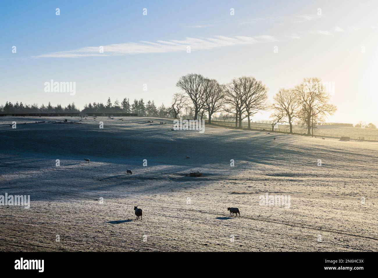 Sunrise over farm field hi-res stock photography and images - Alamy