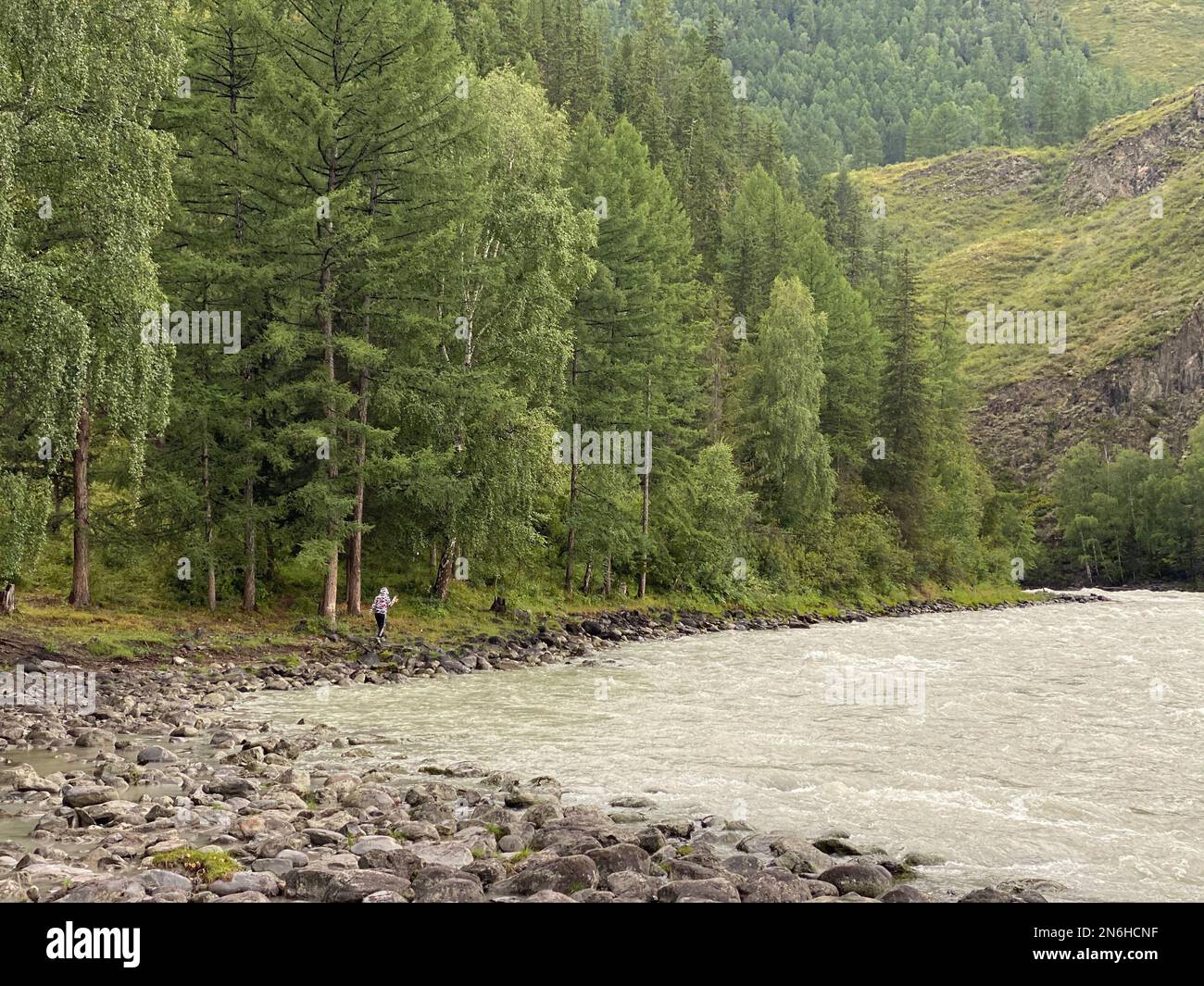 A girl fisherman walks with a fishing rod along the shore near a fast mountain river during the day. Stock Photo