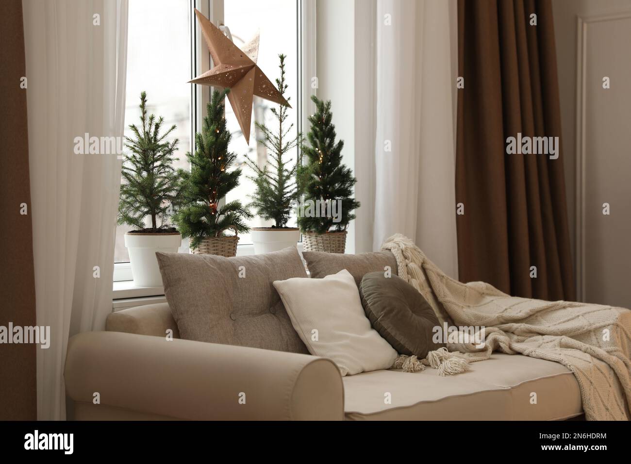 Sofa near window with small fir trees in room. Interior design Stock Photo Alamy