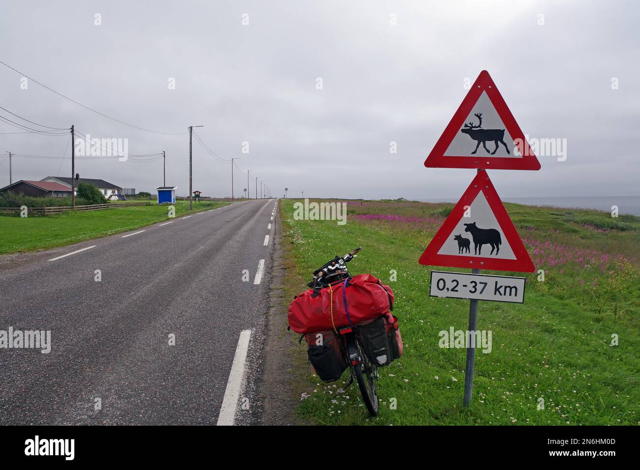 Sign warns of reindeer and sheep on the road, fog, bike with lots of luggage, adventure, bike travel, cycle tourism, Varanger Peninsula, Vadsoe Stock Photo