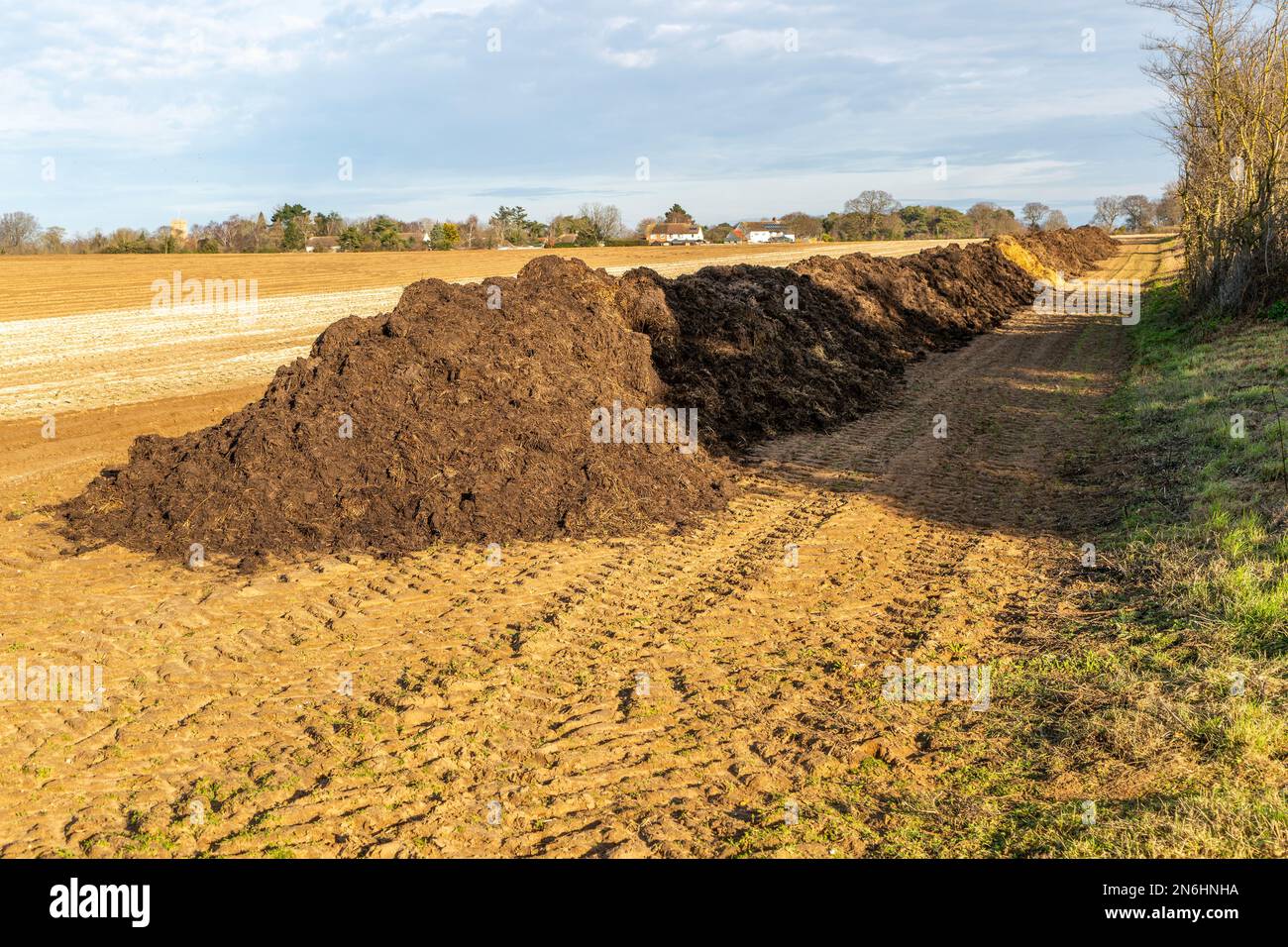 Animal manure hi-res stock photography and images - Alamy Animal manure hi-res stock photography and images - Alamy