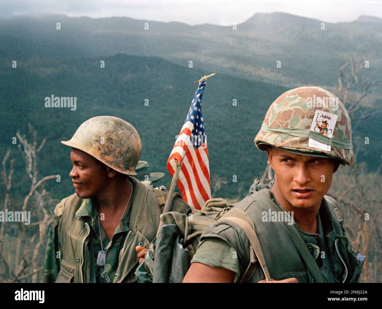 Unloading Branch Marines unloading and moving through tree and branch strewn landing ...