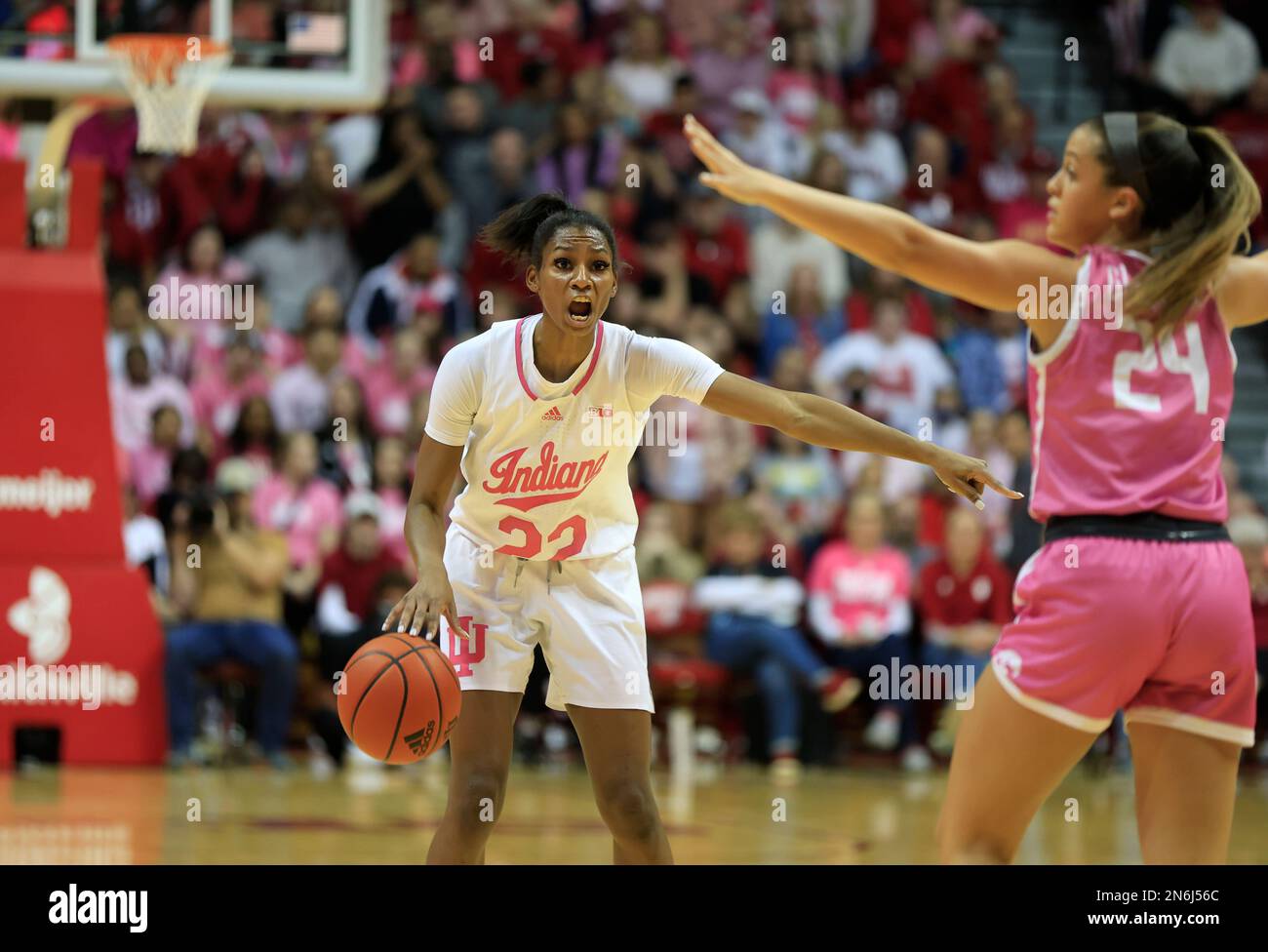 Gabbie marshall hi-res stock photography and images - Alamy