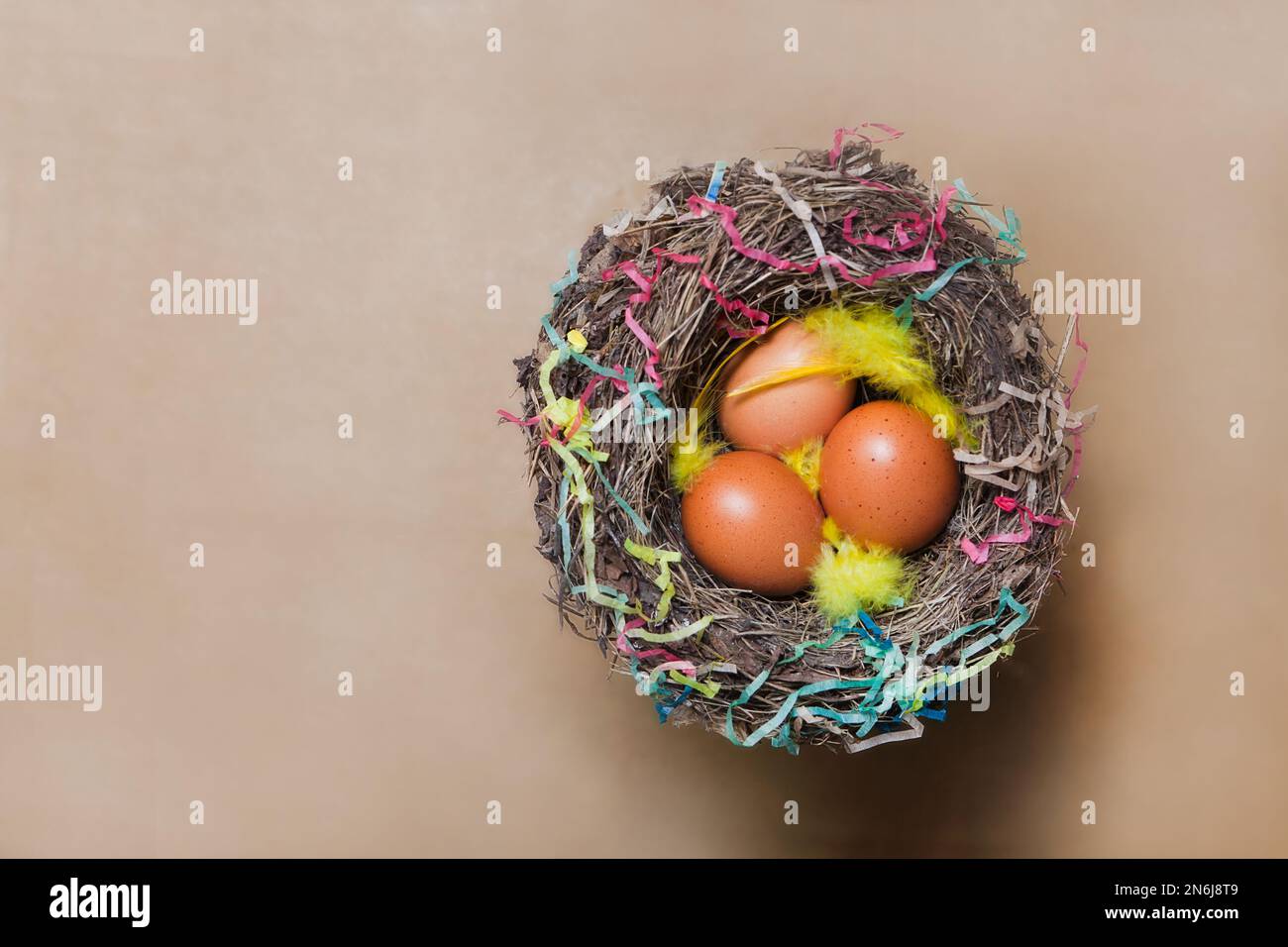 beige easter eggs in nest on brown background with copy space. flat lay with feather Stock Photo