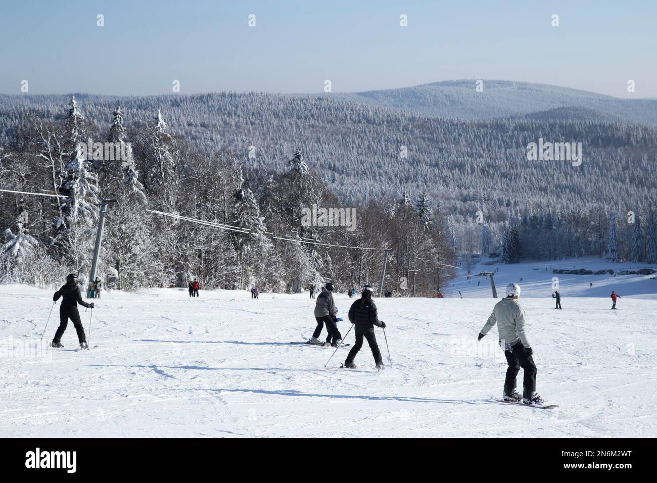 sports, sport, alpine, nice weather, lifestyle, outdoor, ski touring, winter time, snow covered, snowy, frost, cold, exercise, europe, forest, winter, Stock Photo