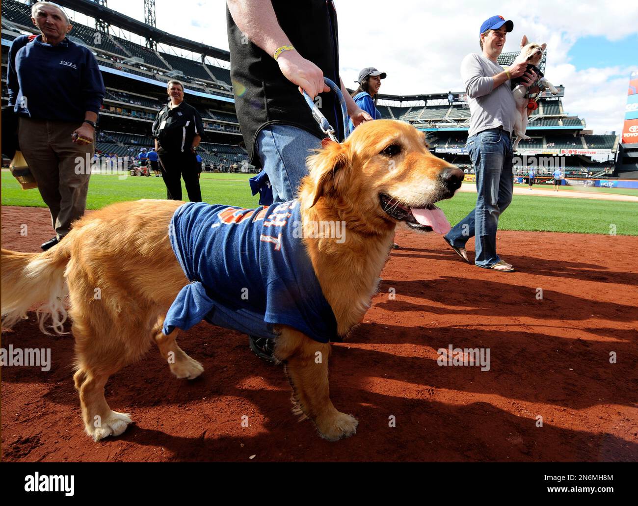 A dog walks around the field during Bark in the Park day at Citi Field  before Game 1 of a doubleheader baseball game between the New York Mets and  the Miami Marlins