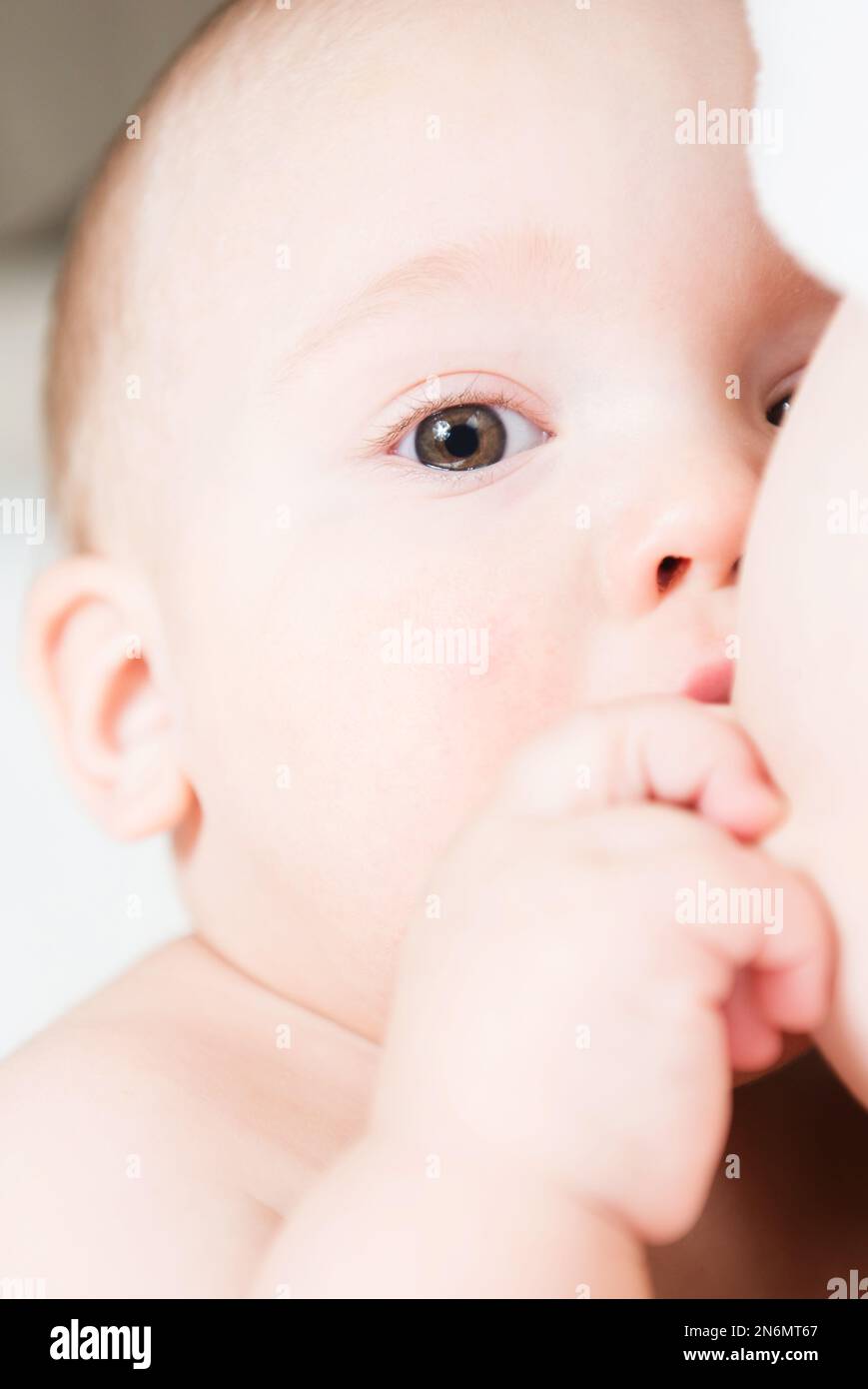 Detail of little boy breast feeding Stock Photo