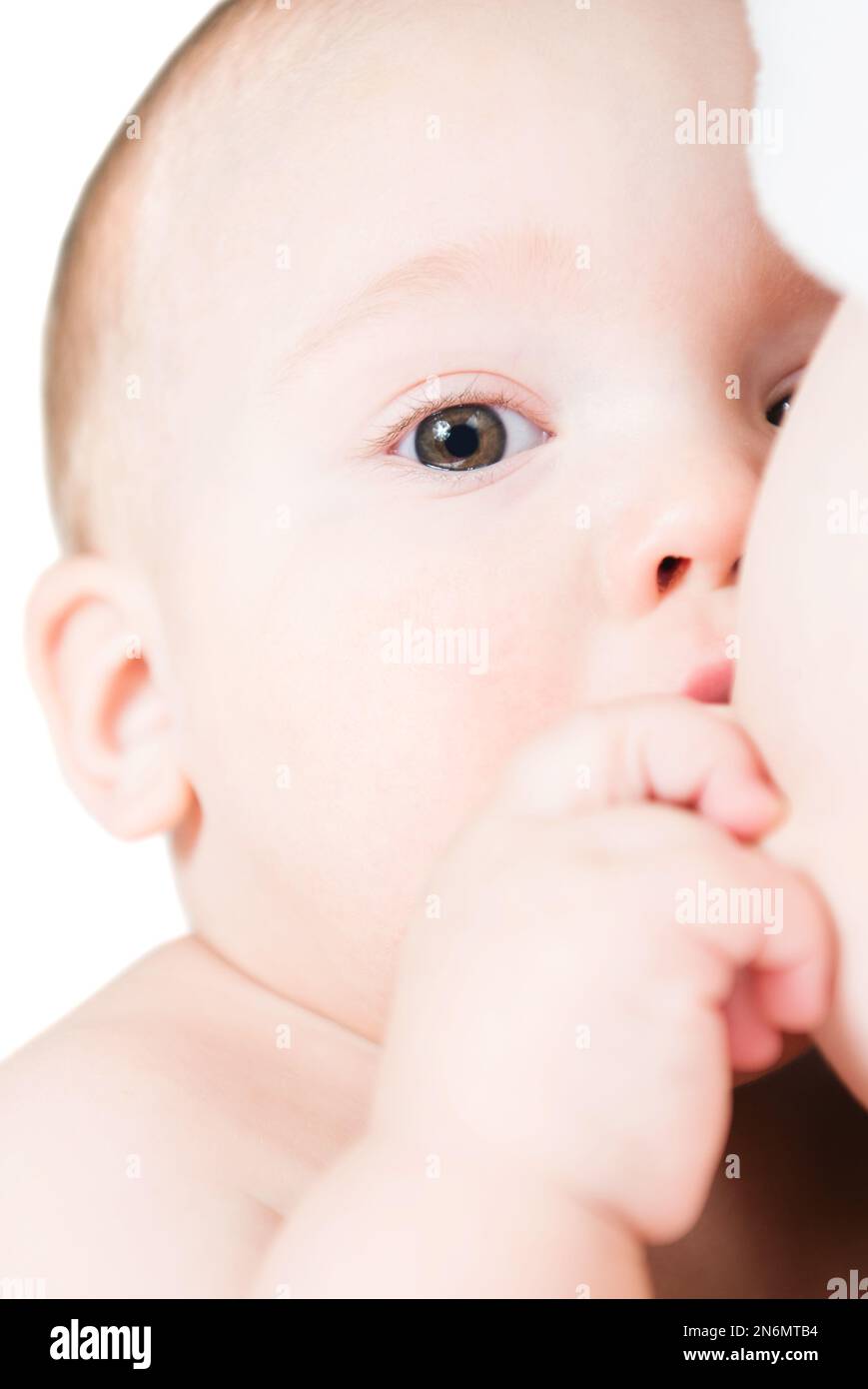 Little baby boy breast feeding, isolated on white background Stock Photo