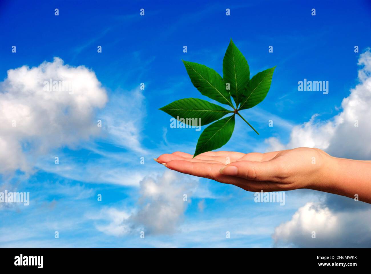 hand with a green leaf floating over it, earth day concept Stock Photo