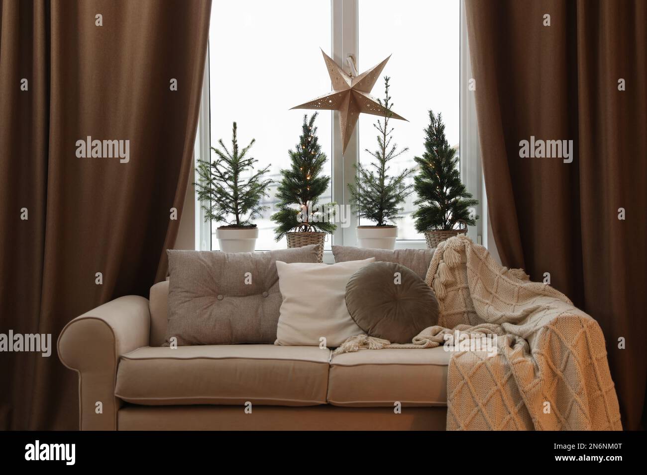 Sofa near window with small fir trees in room. Interior design Stock Photo Alamy