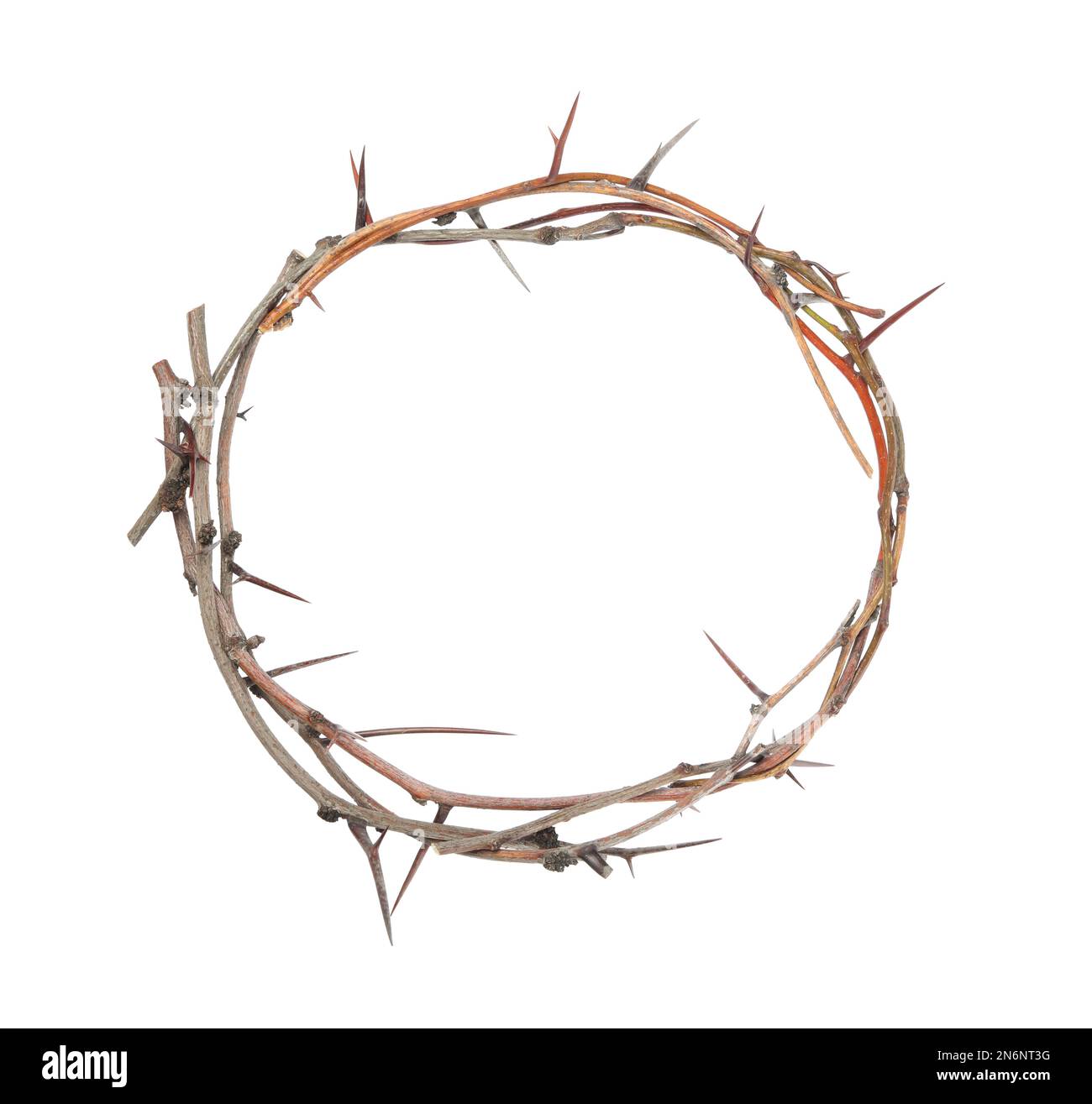 Crown of thorns isolated hi-res stock photography and images - Alamy