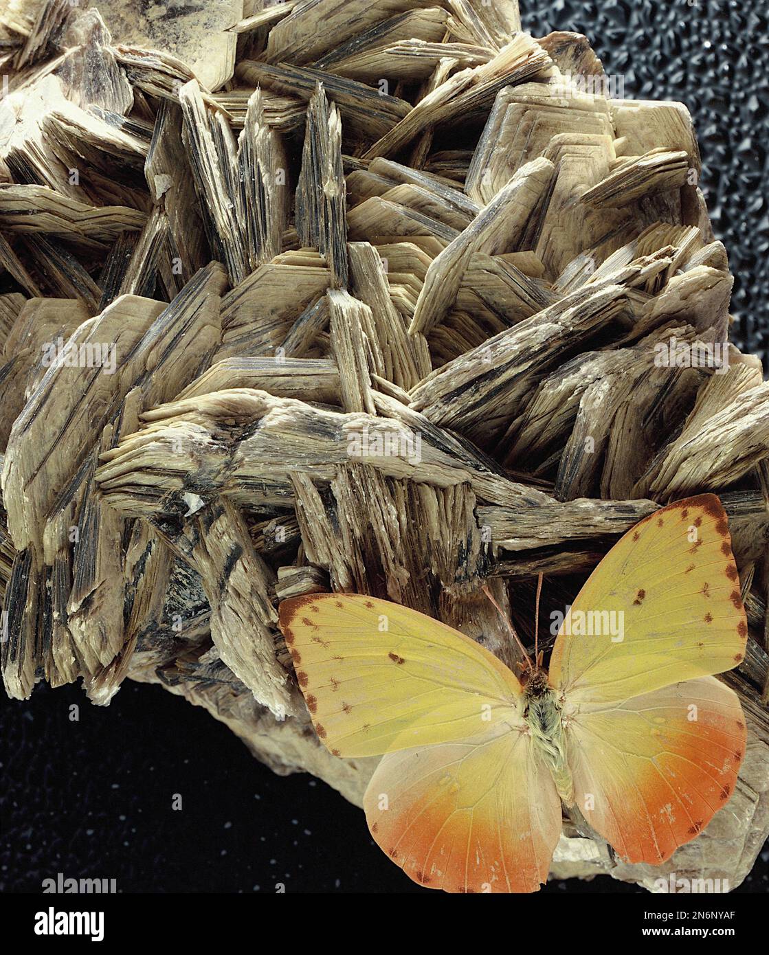 Orange butterfly on a crystal mica stone background Stock Photo