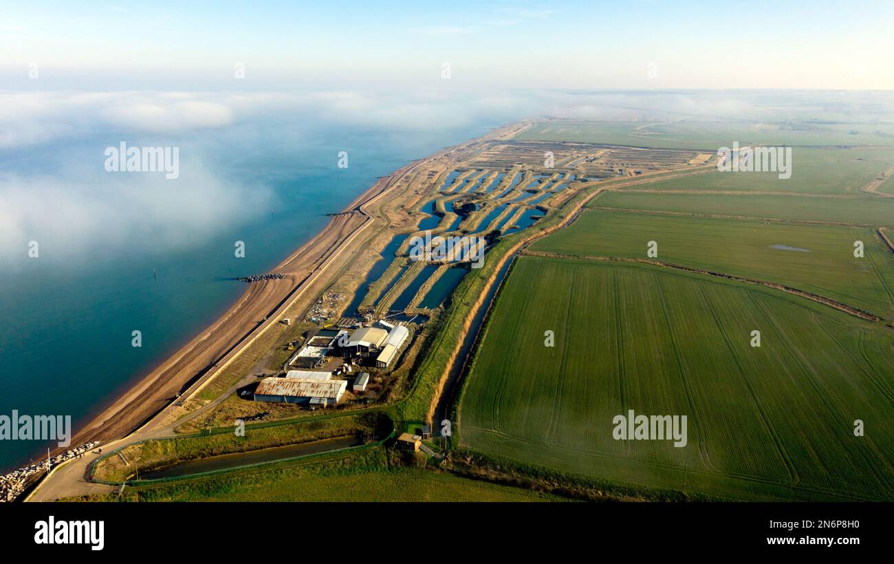 Aerial view of Seasalter Shellfish Hatchery, Reculver, Herne bay, Thanet Stock Photo