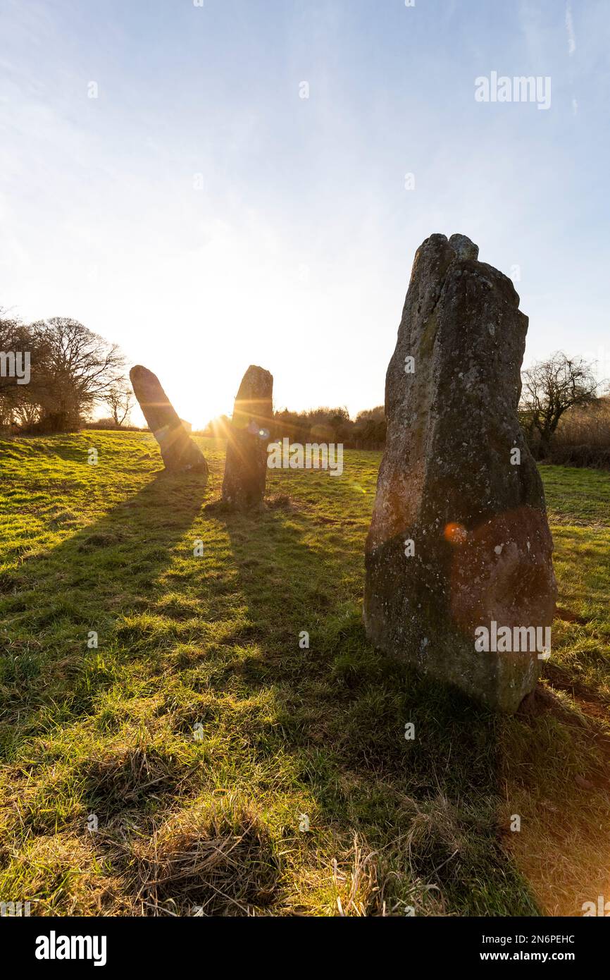 Three standing stones, Harold's Stones, Trellech, Monmouthshire Stock