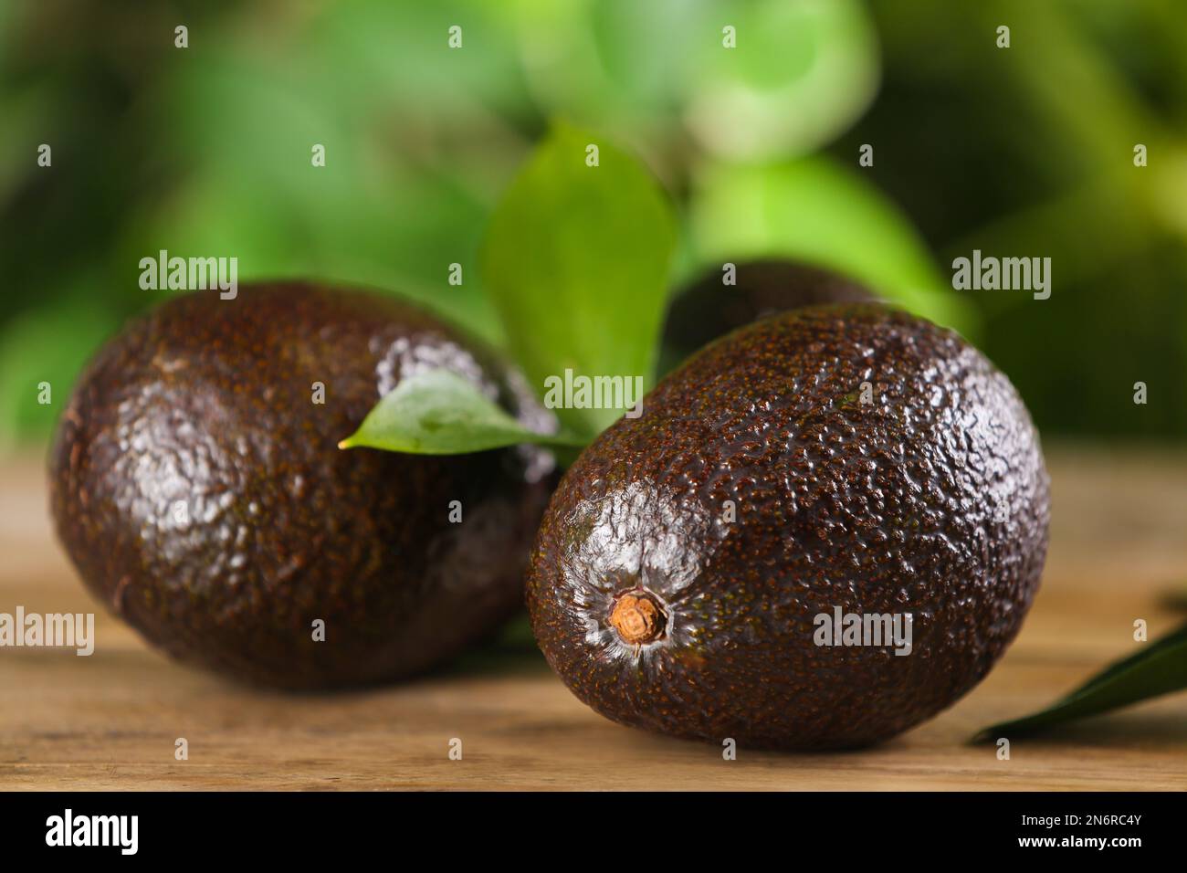 Whole avocados with green leaf on wooden table, closeup Stock Photo - Alamy