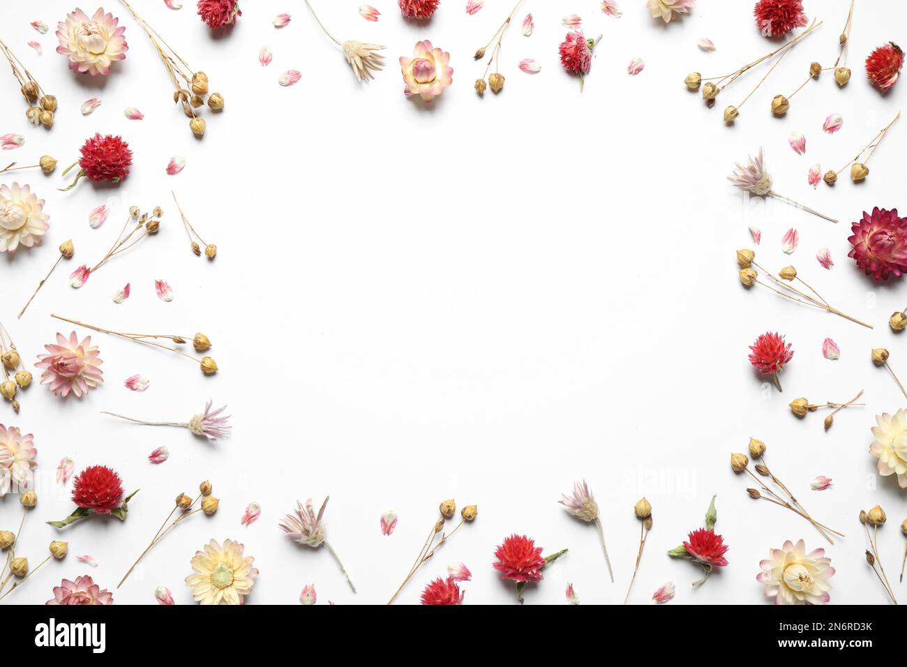 Frame of different dry flowers on white background, flat lay. Space for text Stock Photo