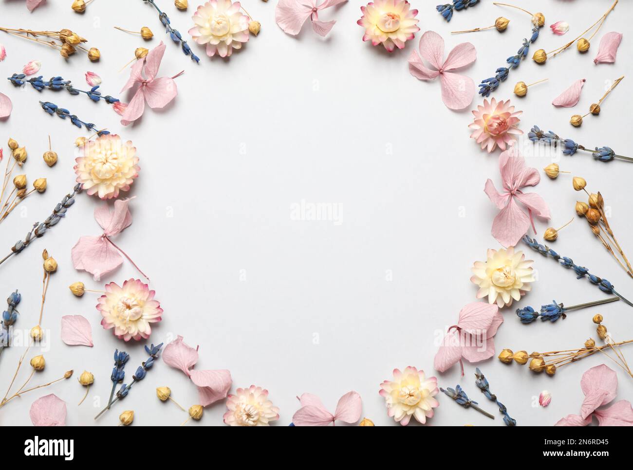 Frame of beautiful dried flowers on light background, flat lay. Space for text Stock Photo