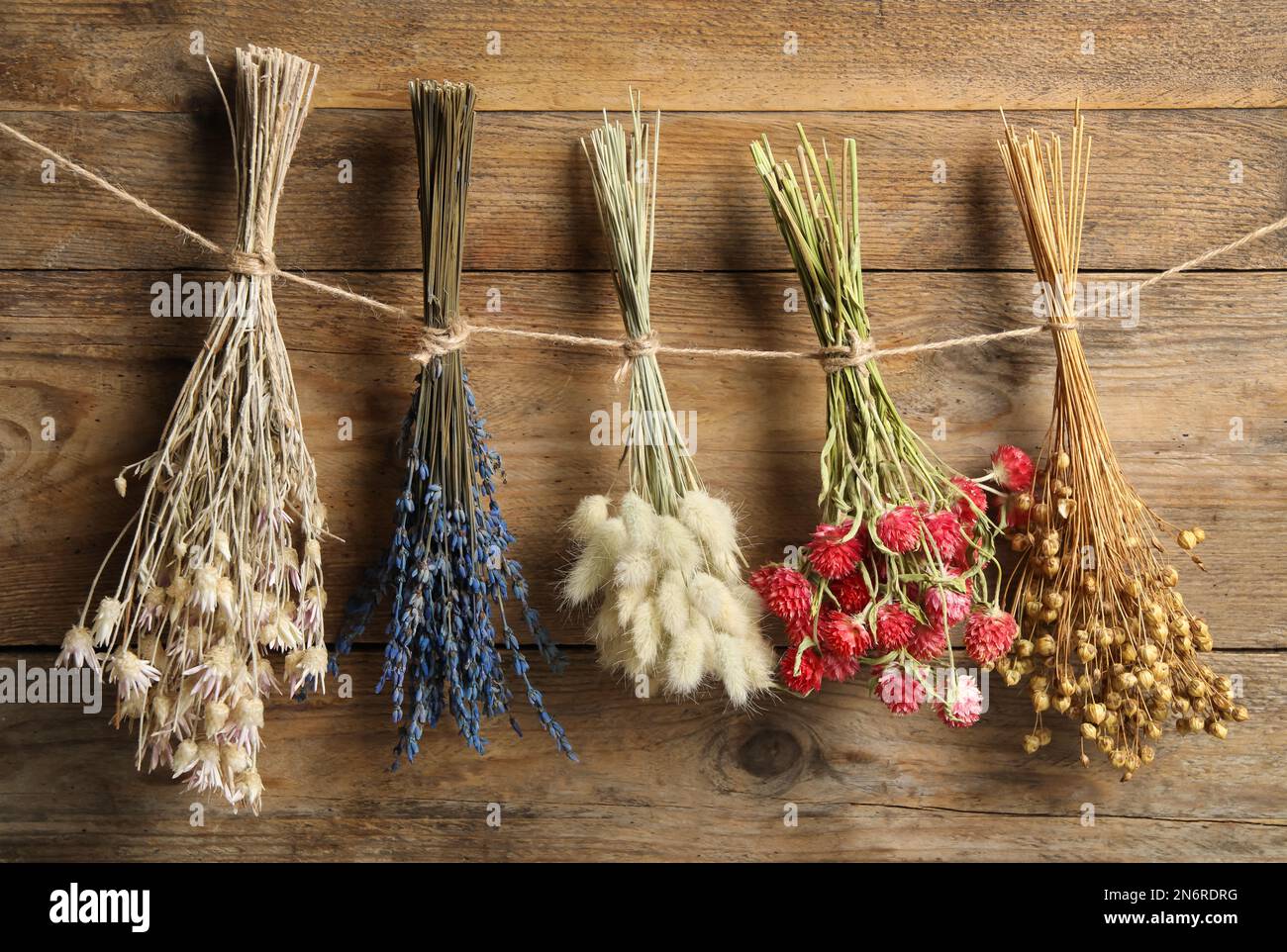 Bunches of beautiful dried flowers hanging on rope near wooden wall ...