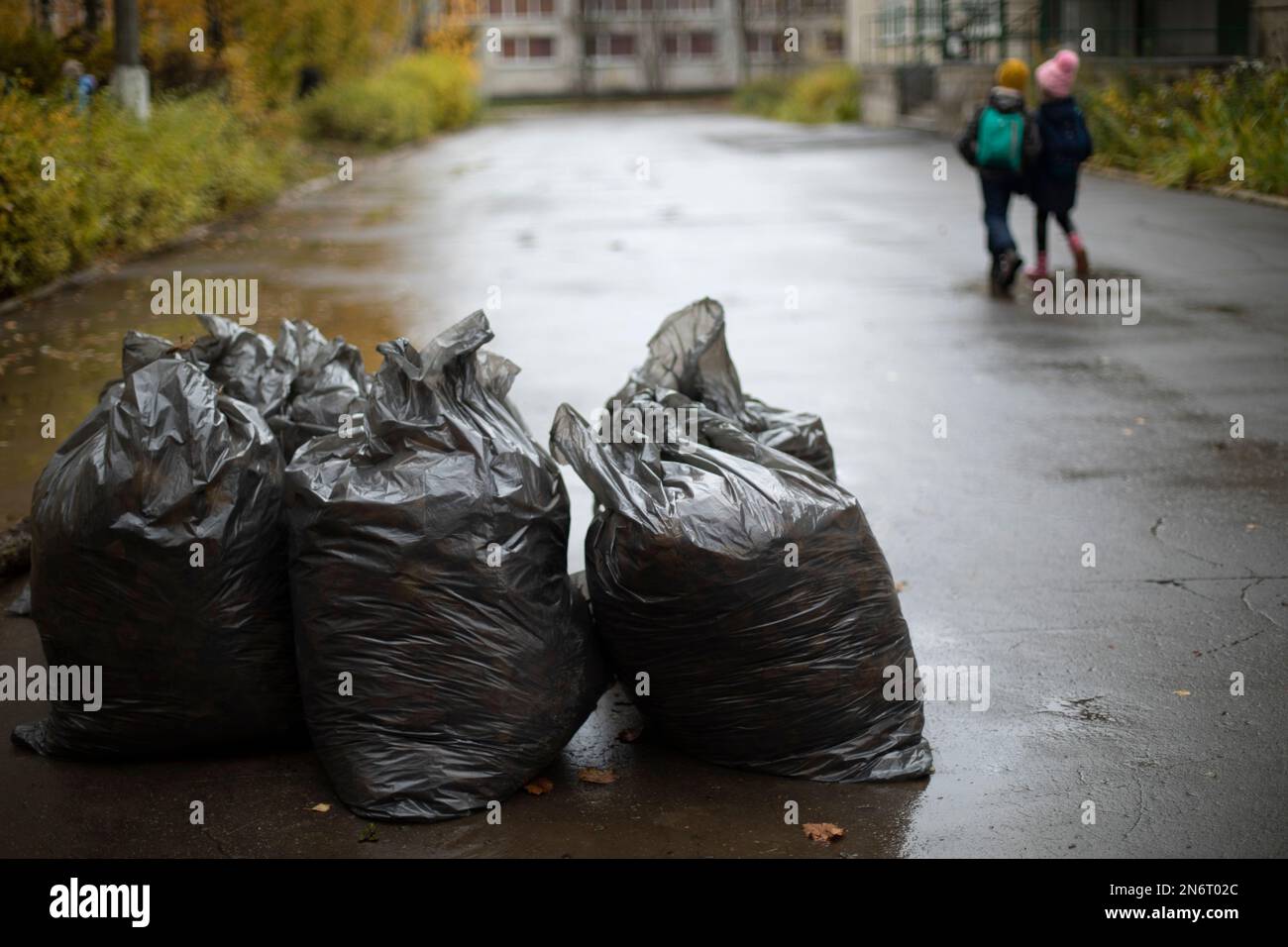 Garbage. Plastic black bags. Cleaning area. Order in yard in autumn. Stock Photo