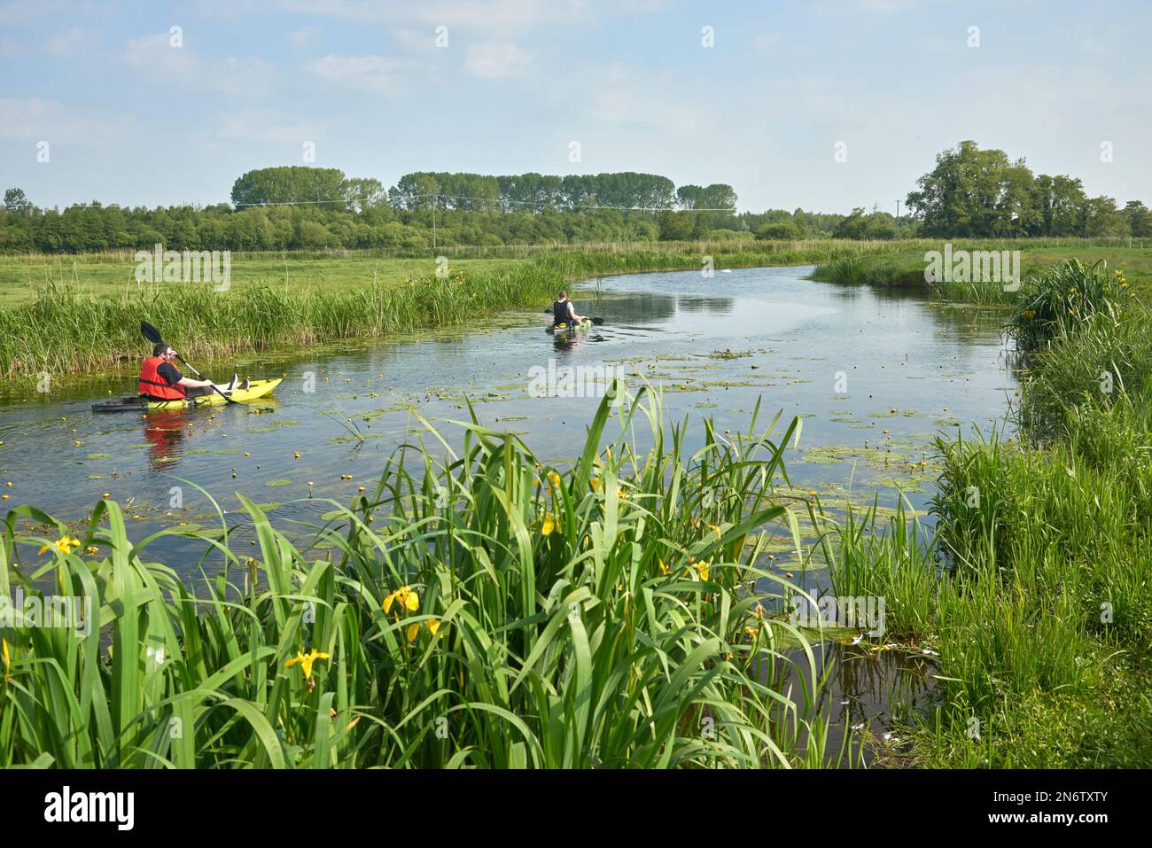 canoeing on the river Waveney Stock Photo