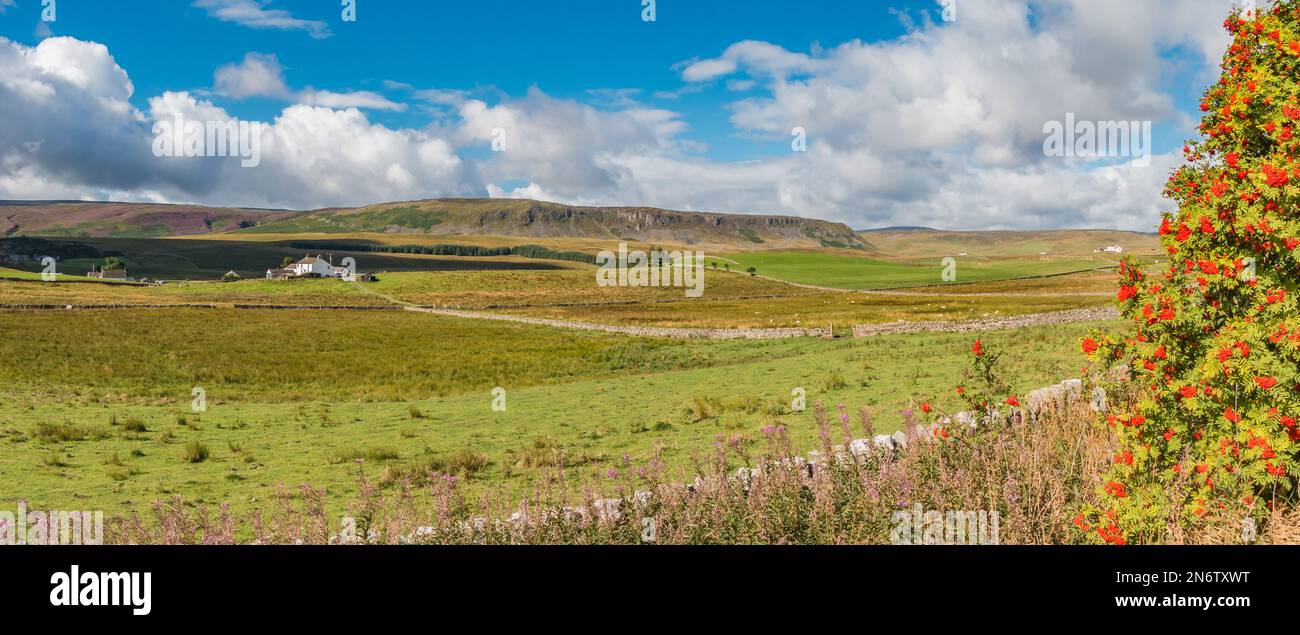A panoramic view taking in Birk Rigg and the whole of Cronkley Scar round to Widdybank in the far distance Stock Photo