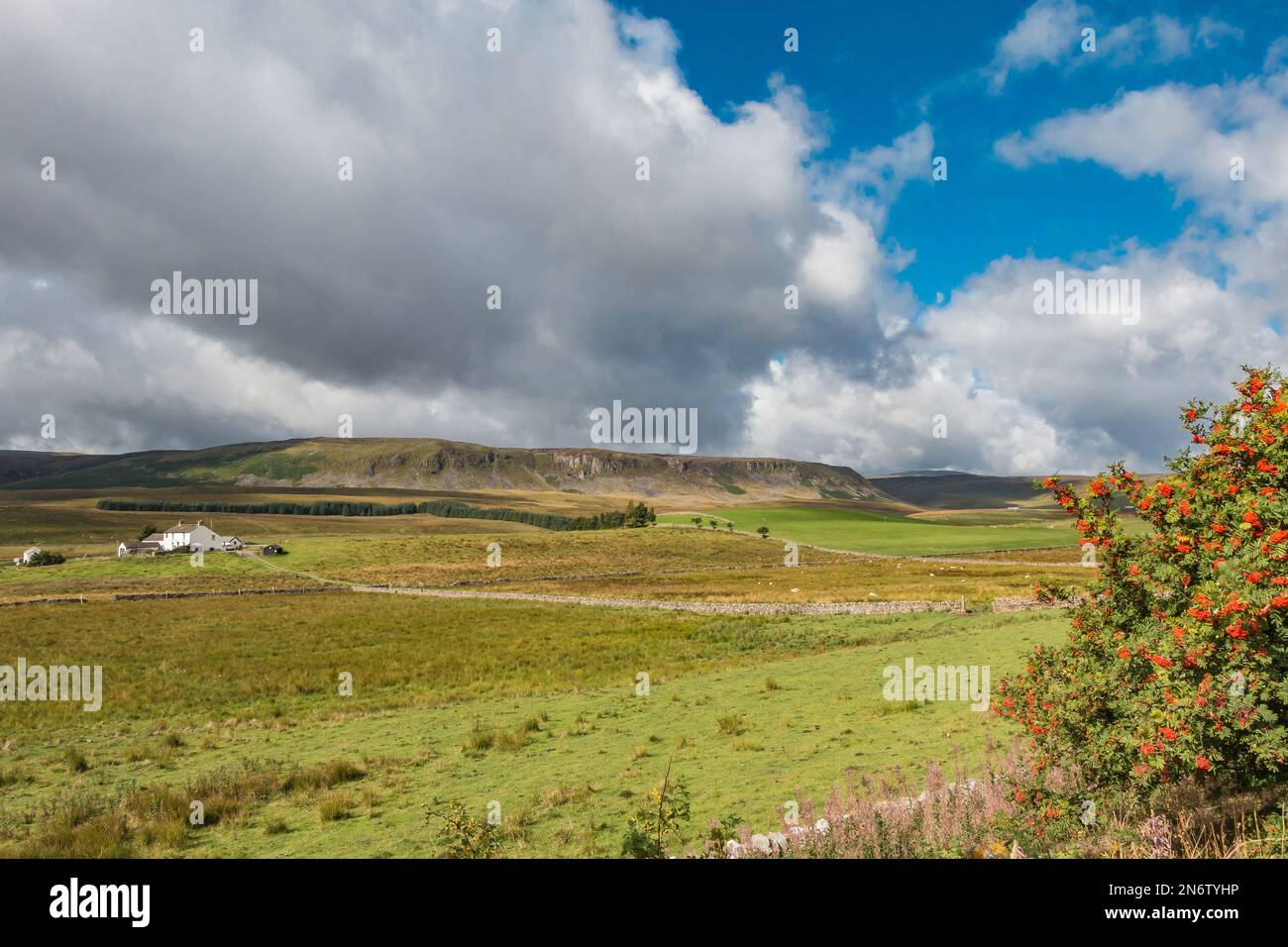 The whole of Cronkley Scar from the roadside by Hanging Shaw car park at Forest in Teesdale. Stock Photo