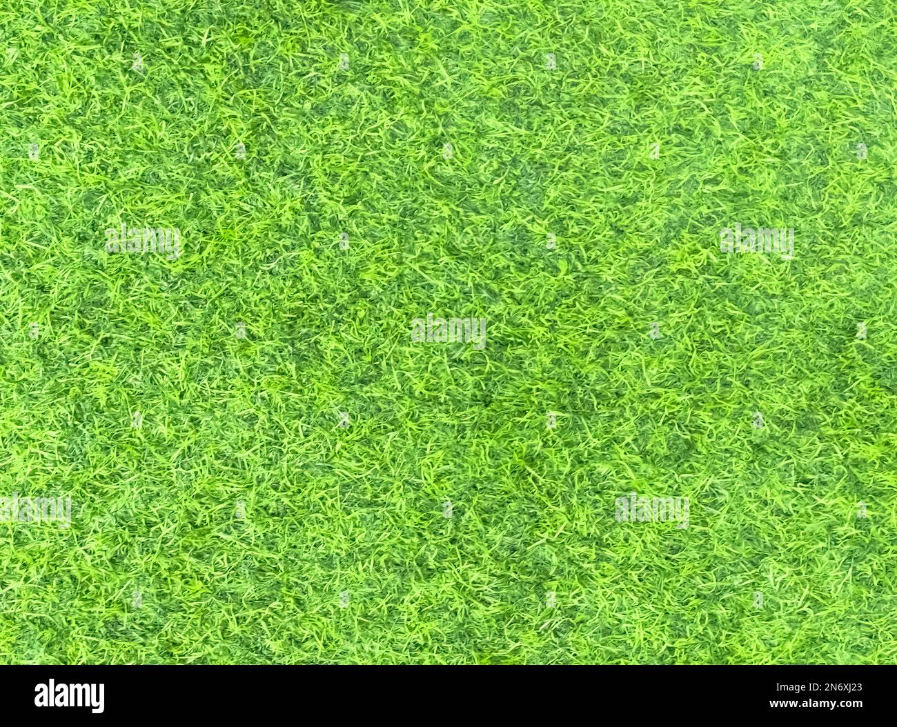 Makro 2024 artificial grass