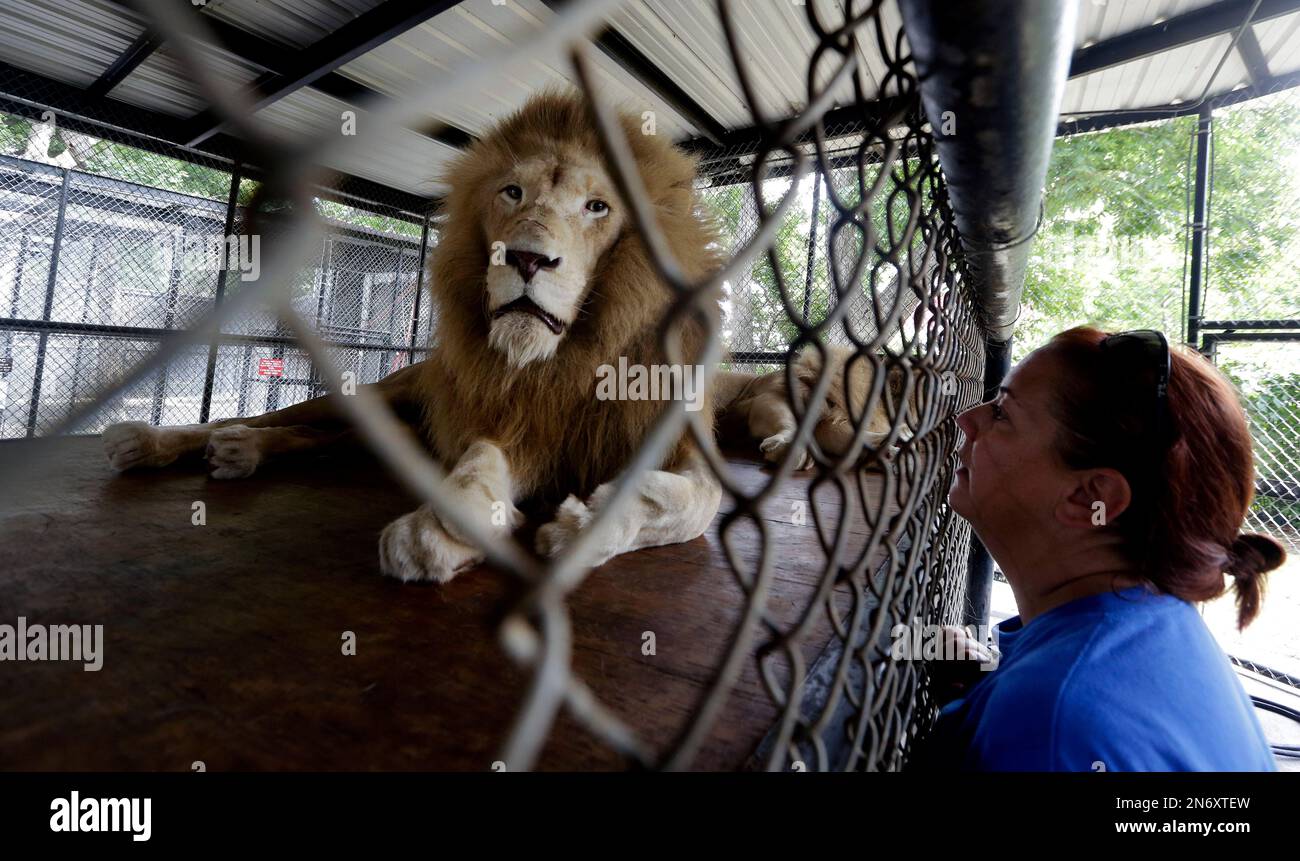 In this July 25, 2013, photo, Lisa Williams, spokeswoman for InSync