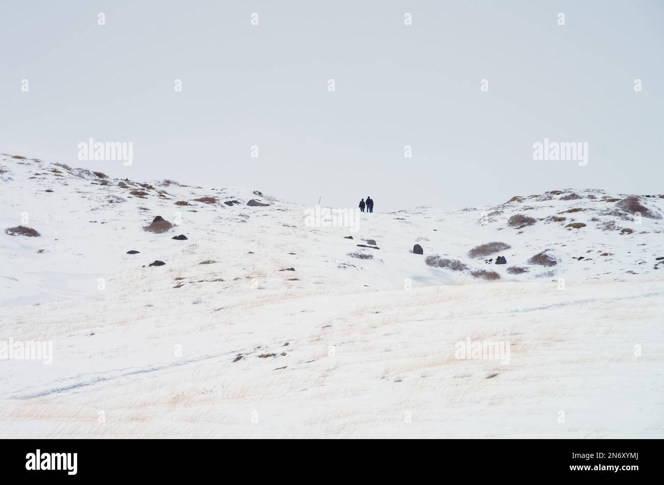 minimalist photography of a mountain snow covered landscape with people silhouette at the edge on the 'Valle del Bove' along the path on the 'Schiena Stock Photo