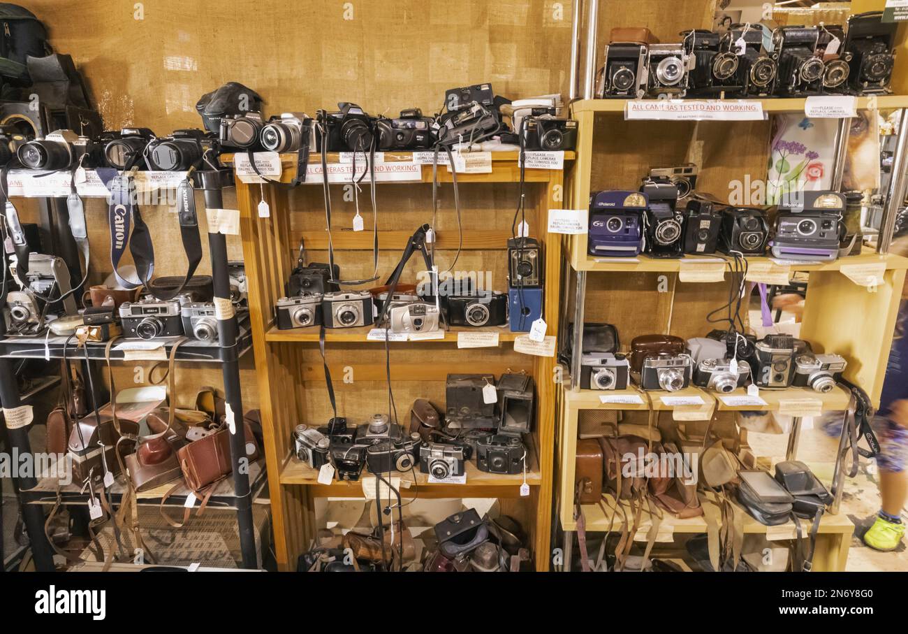 England, Dorset, Bridport, West Bay, The Customs House Antique Centre