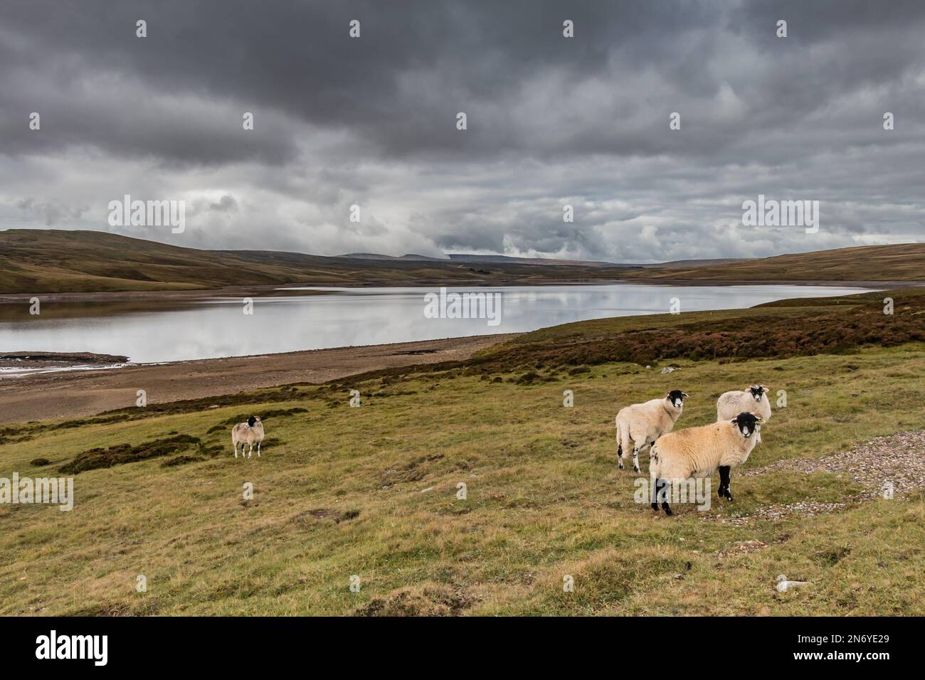 Cow Green Reservoir, Upper Teesdale Stock Photo