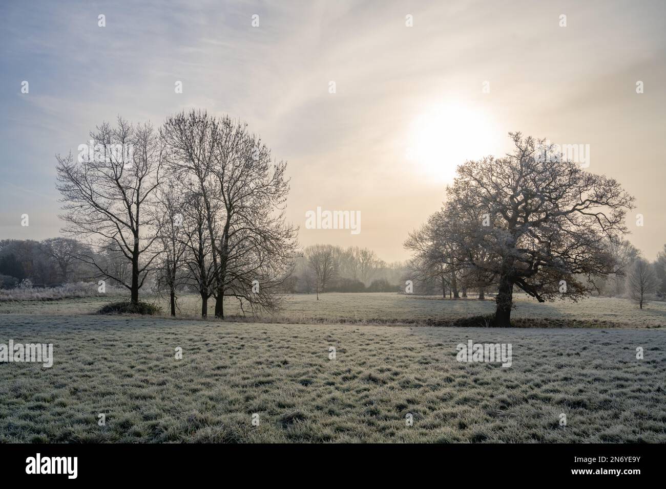 Frosty trees and fields on footpath near Margaretting Essex Stock Photo