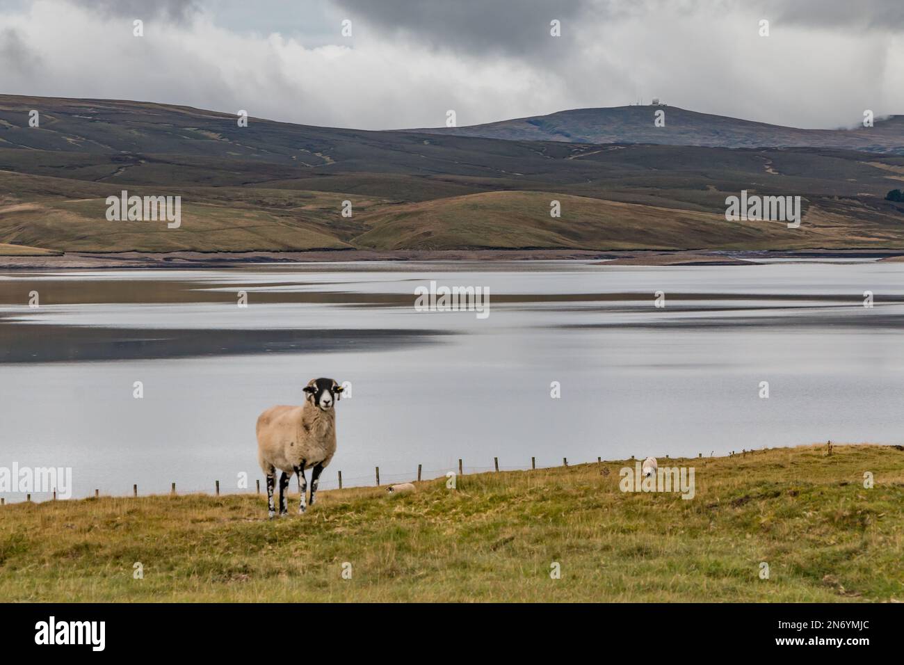 Cow Green Reservoir, Upper Teesdale Stock Photo