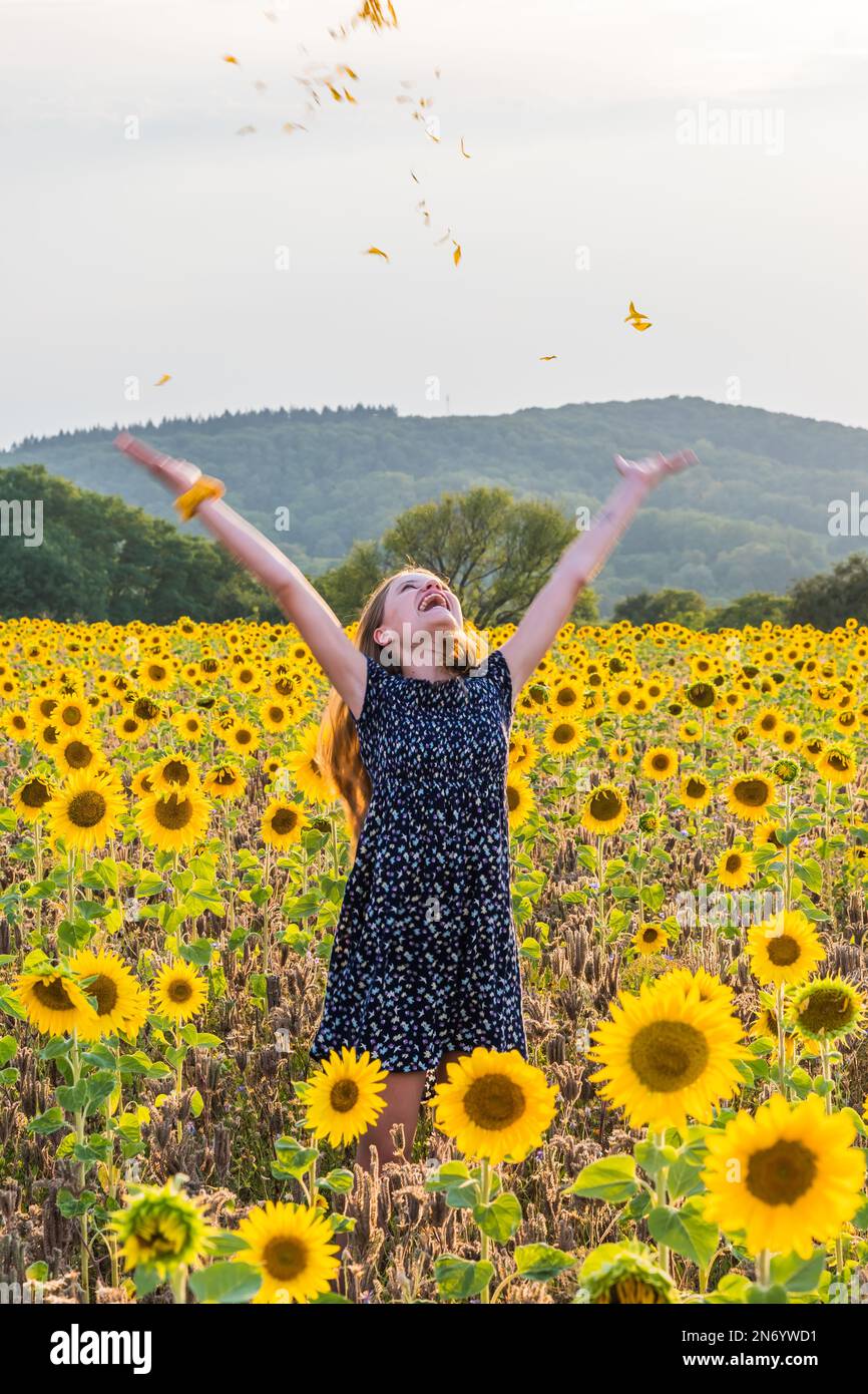 Teenage girl in sunflower field throwing petals in the air. Arms in ...