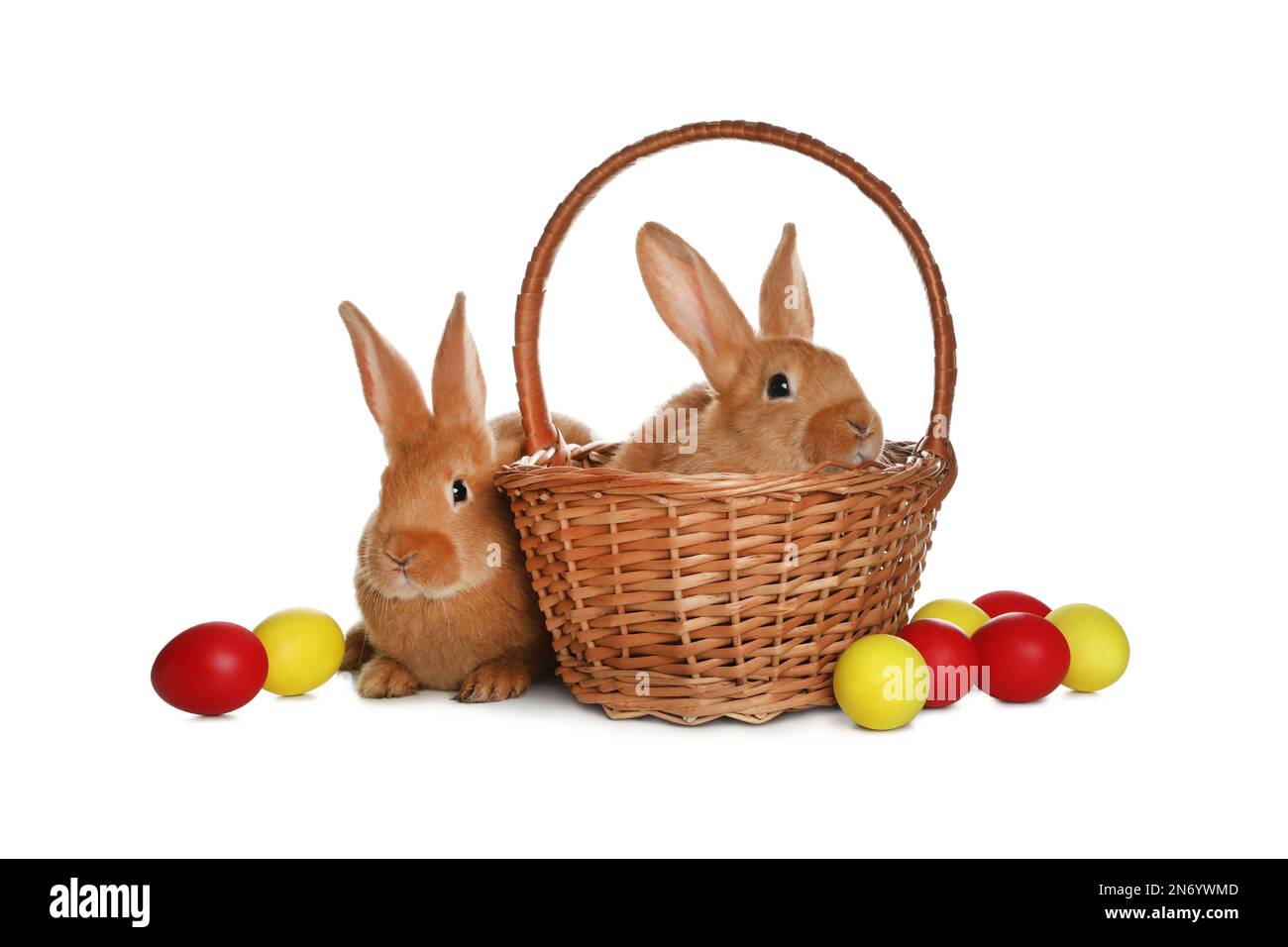 Adorable furry Easter bunnies and wicker basket with dyed eggs on white ...