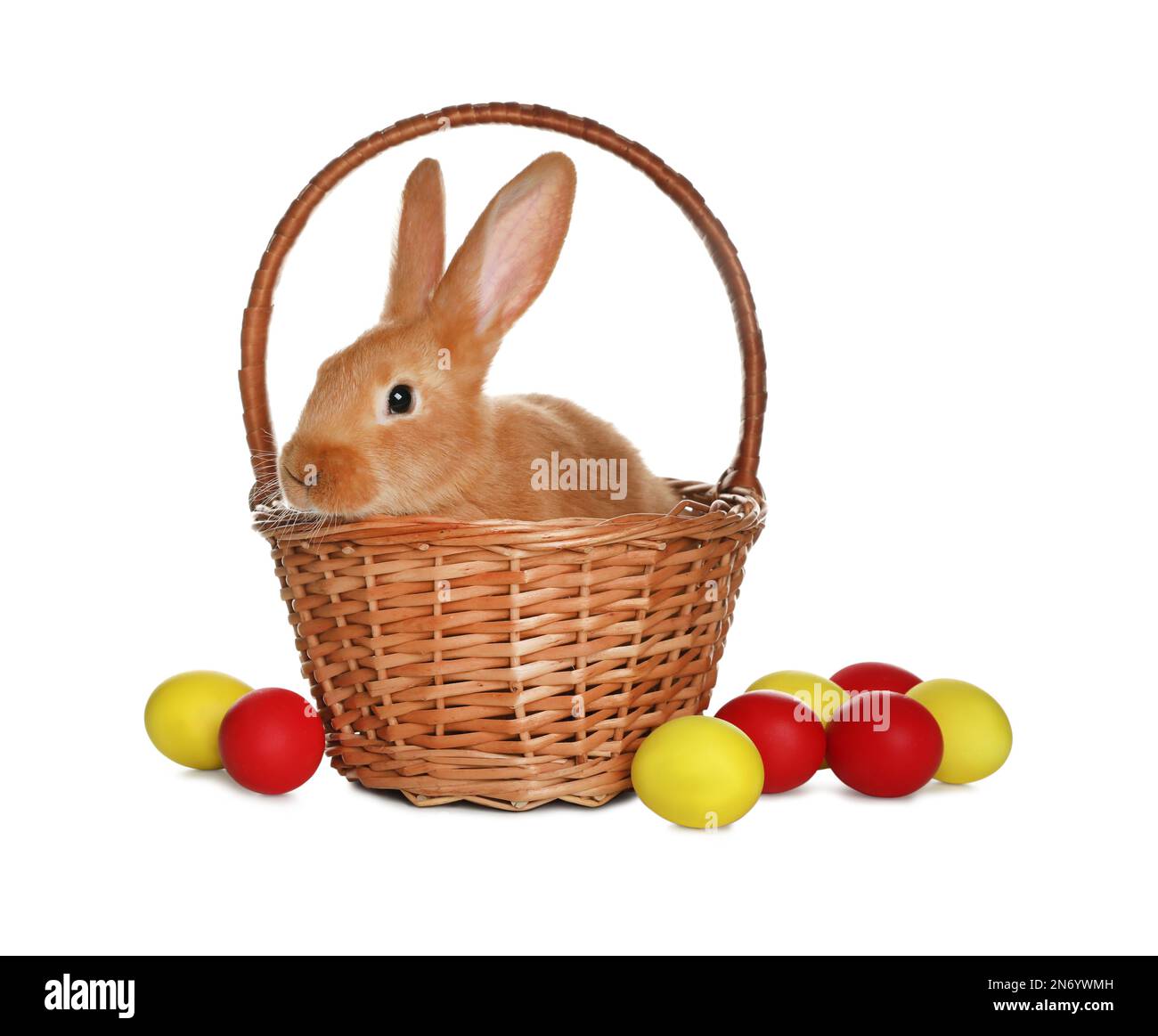 Adorable furry Easter bunny in wicker basket and dyed eggs on white ...