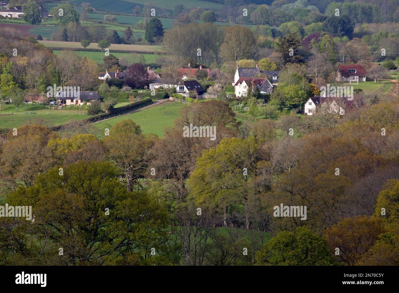 The village of Chicksgrove, near Tisbury in Wiltshire, with the oak trees of Whitmarsh Wood in the foreground. Stock Photo