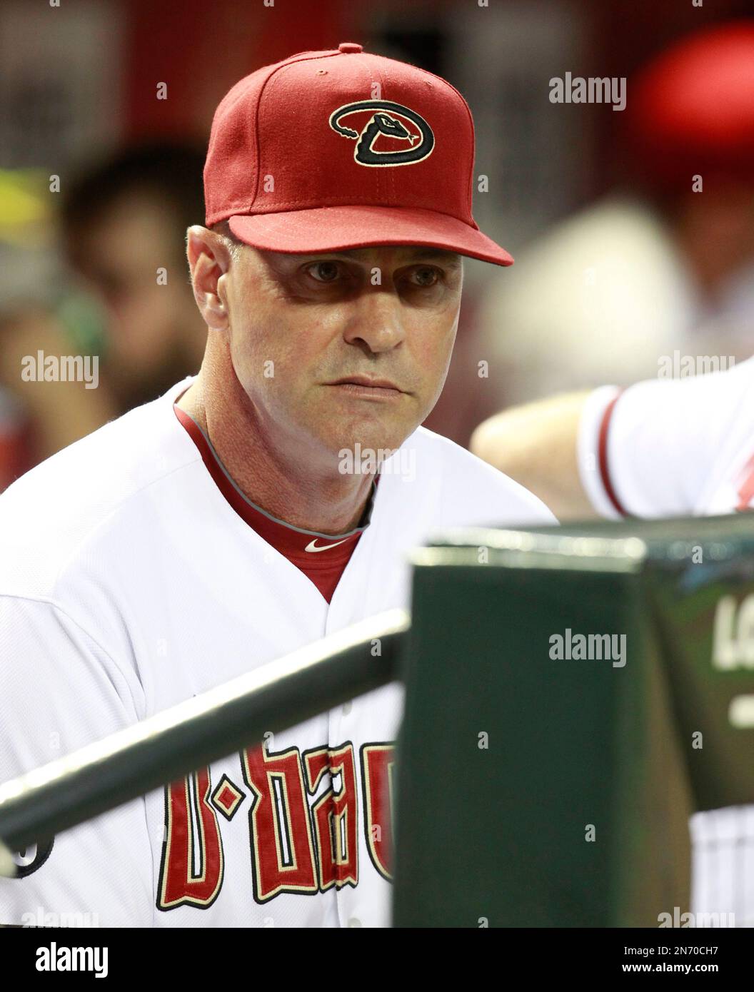 Arizona Diamondbacks manager Kirk Gibson (23) against the Tampa Bay