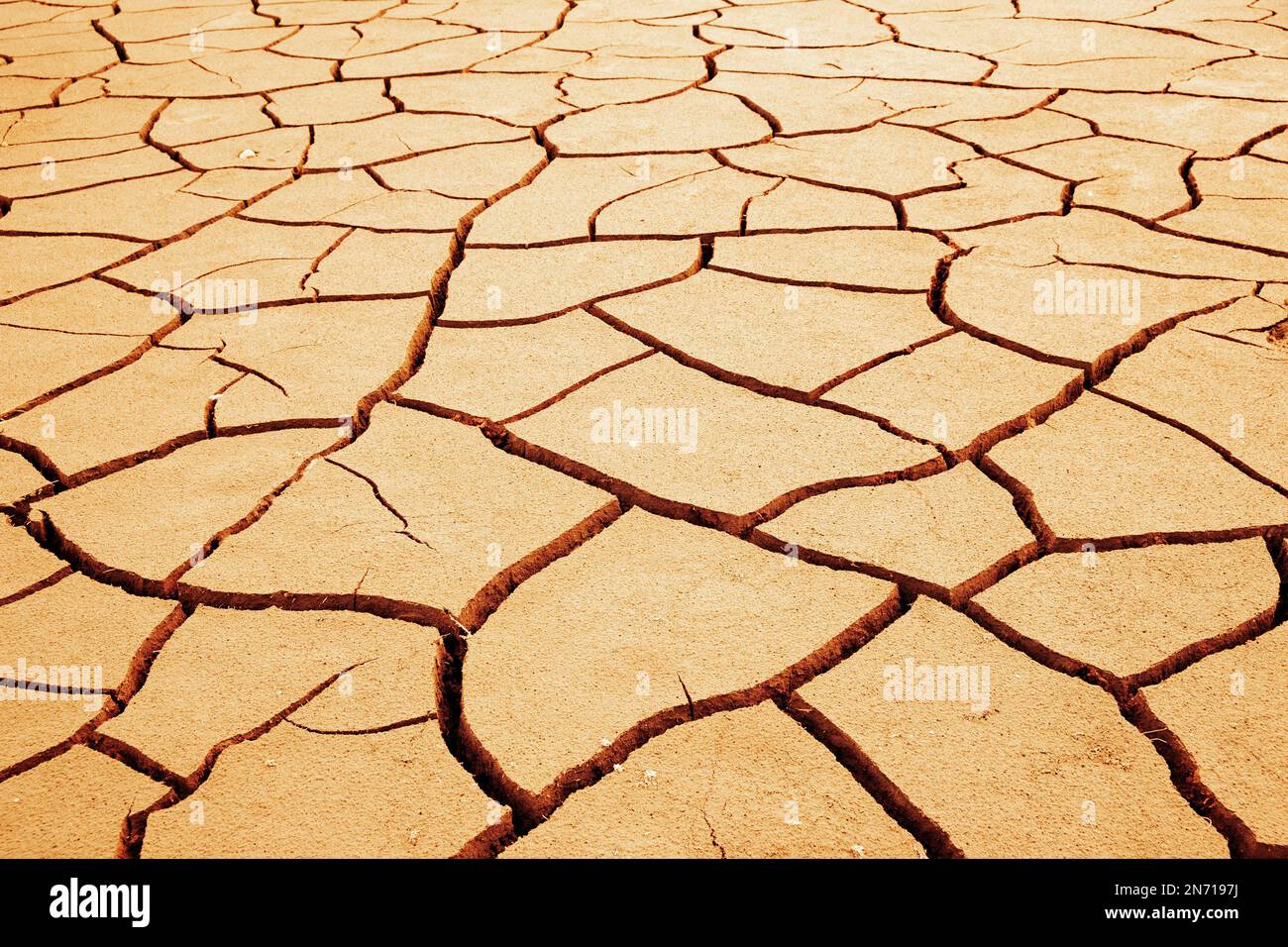 Dry earth with cracks Stock Photo