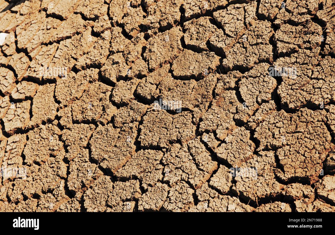 Dry earth with cracks Stock Photo