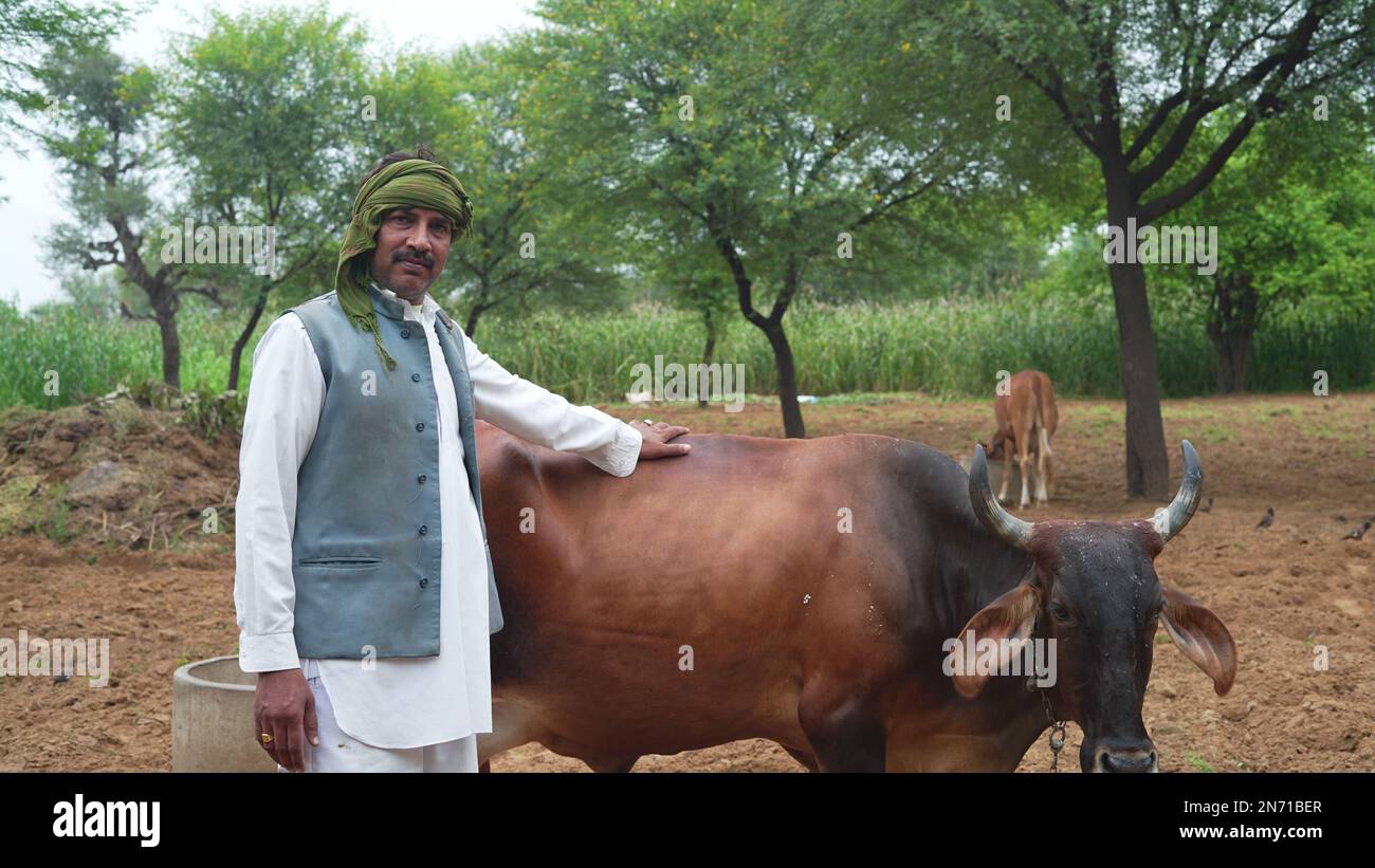 Indian farmer white turban in hi-res stock photography and images - Alamy