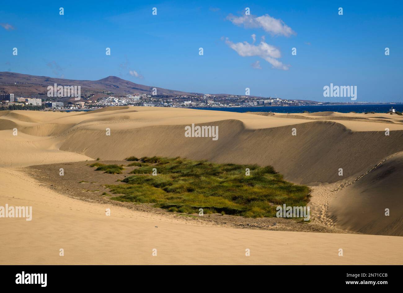 Maspalomas sand dunes and Playa El Ingles beach, Las Palmas, Grand Canaria, Canary Islands, Spain Stock Photo