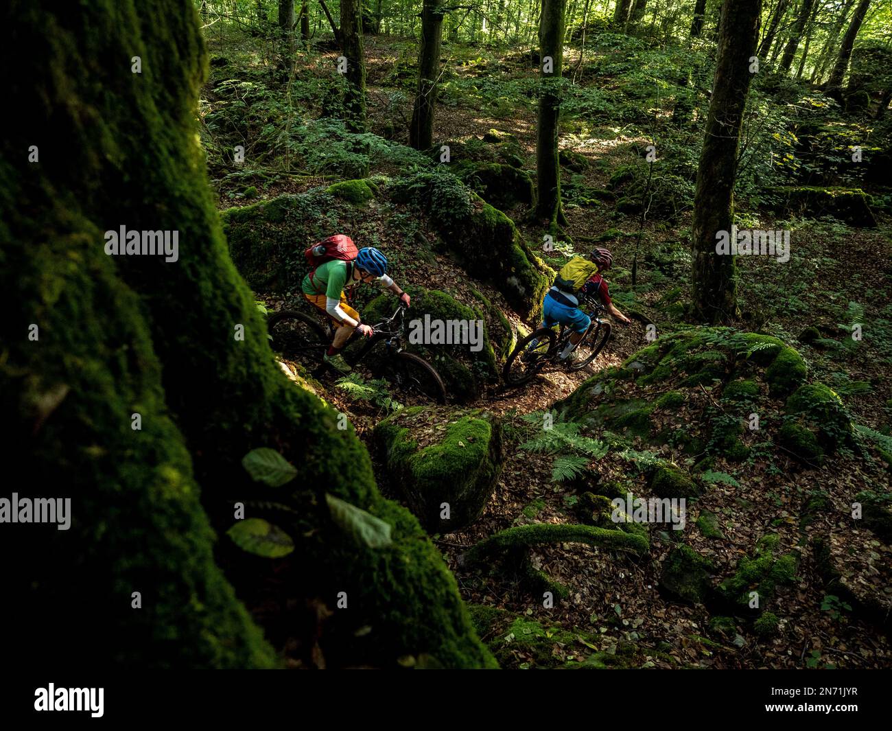 E-mountain biker on single trail in Mullerthal. Morning atmosphere. Narrow rocky path on the steep slope along the Sauer valley in the direction of Berdorf. For good bikers easily passable, for beginners borderline, because narrow, partially exposed and littered with stones and boulders. Below flows the border river Sauer, on the other side is the German part of the Mueller Valley Stock Photo