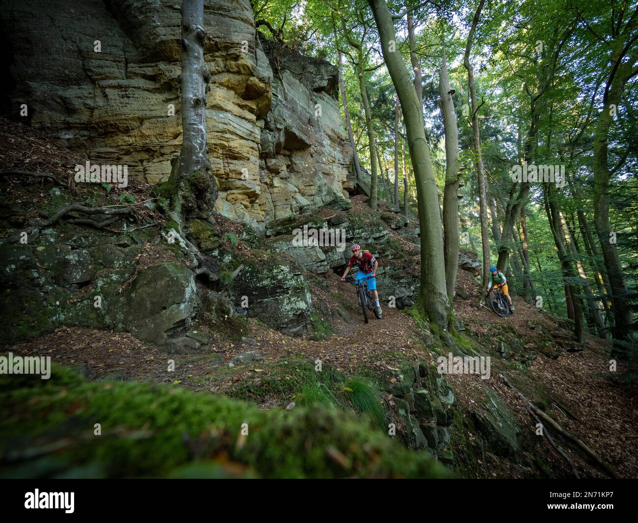 E-mountain biker on single trail in the Mullerthal. Narrow rocky path on the steep slope along the Sauer valley in the direction of Berdorf. For good bikers easy to ride, for beginners borderline, because narrow, partially exposed and littered with stones and boulders. Below flows the border river Sauer, on the other side is the German part of the Müllertal. Stock Photo