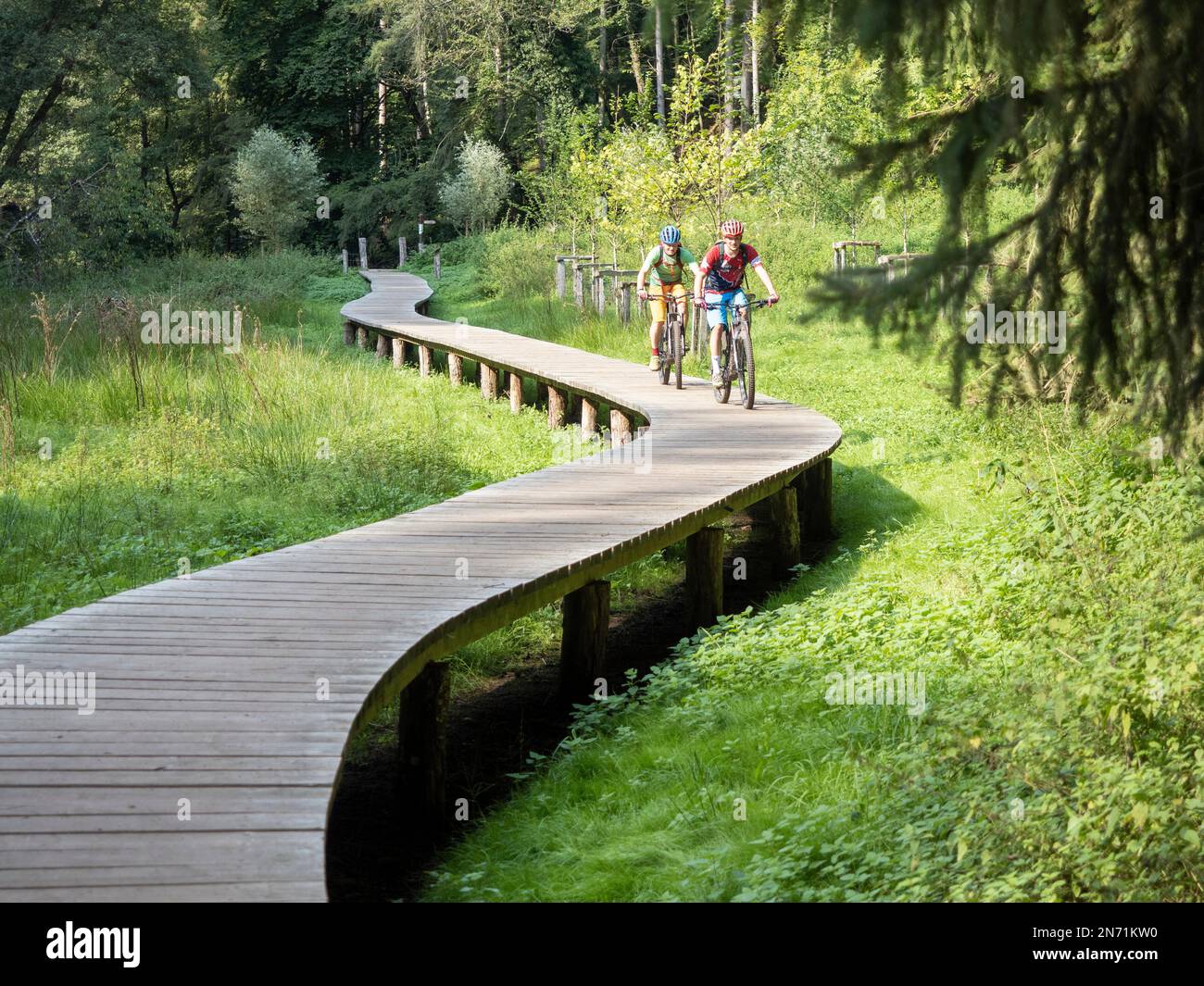 E-mountain biker on wooden plank path in the Mullerthal on the Haupeschbaach near Befort near Beaufort Castle. One of over 100 castles in the Grand Duchy of Luxembourg. Stock Photo