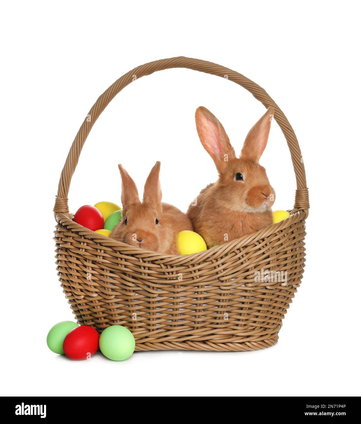 Adorable furry Easter bunnies in wicker basket with dyed eggs on white ...